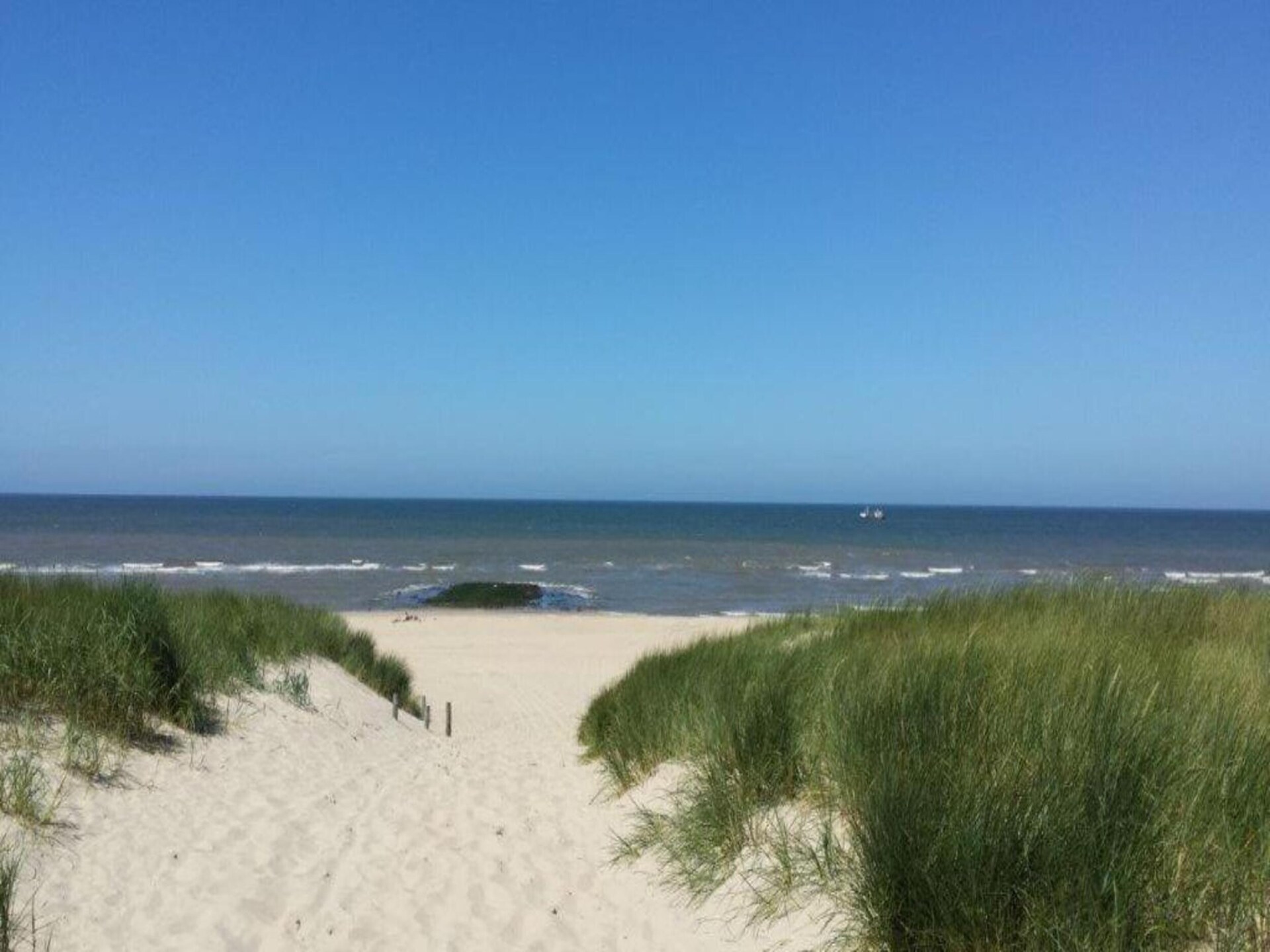 Hazenborgh - Zon: Knus appartement aan de golfbaan bij het strand - foto 26