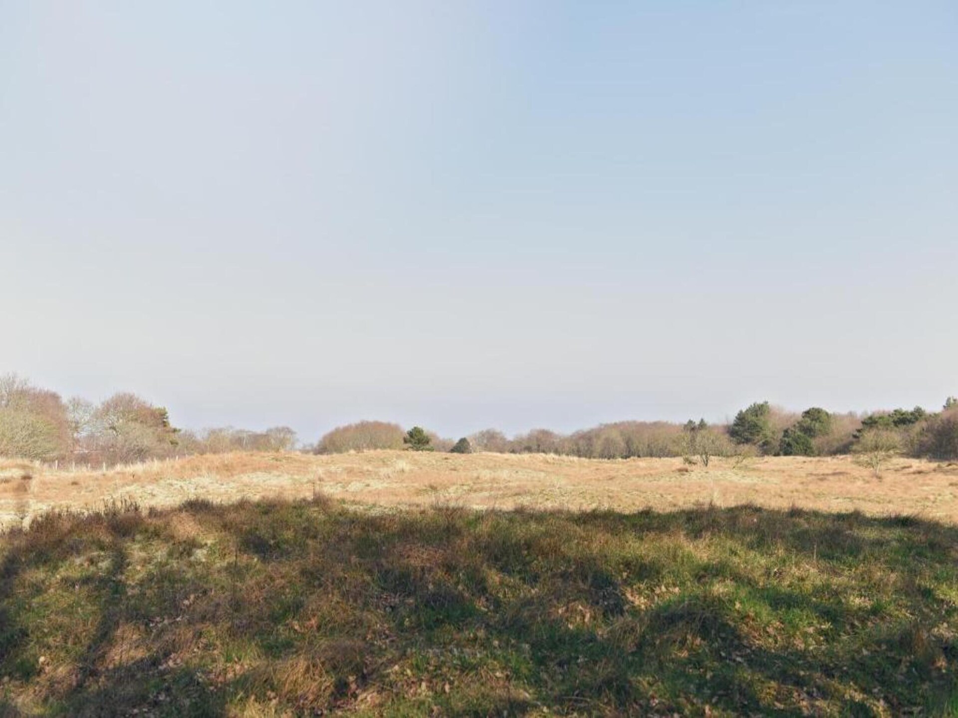 Hazenborgh - Zon: Knus appartement aan de golfbaan bij het strand - foto 32