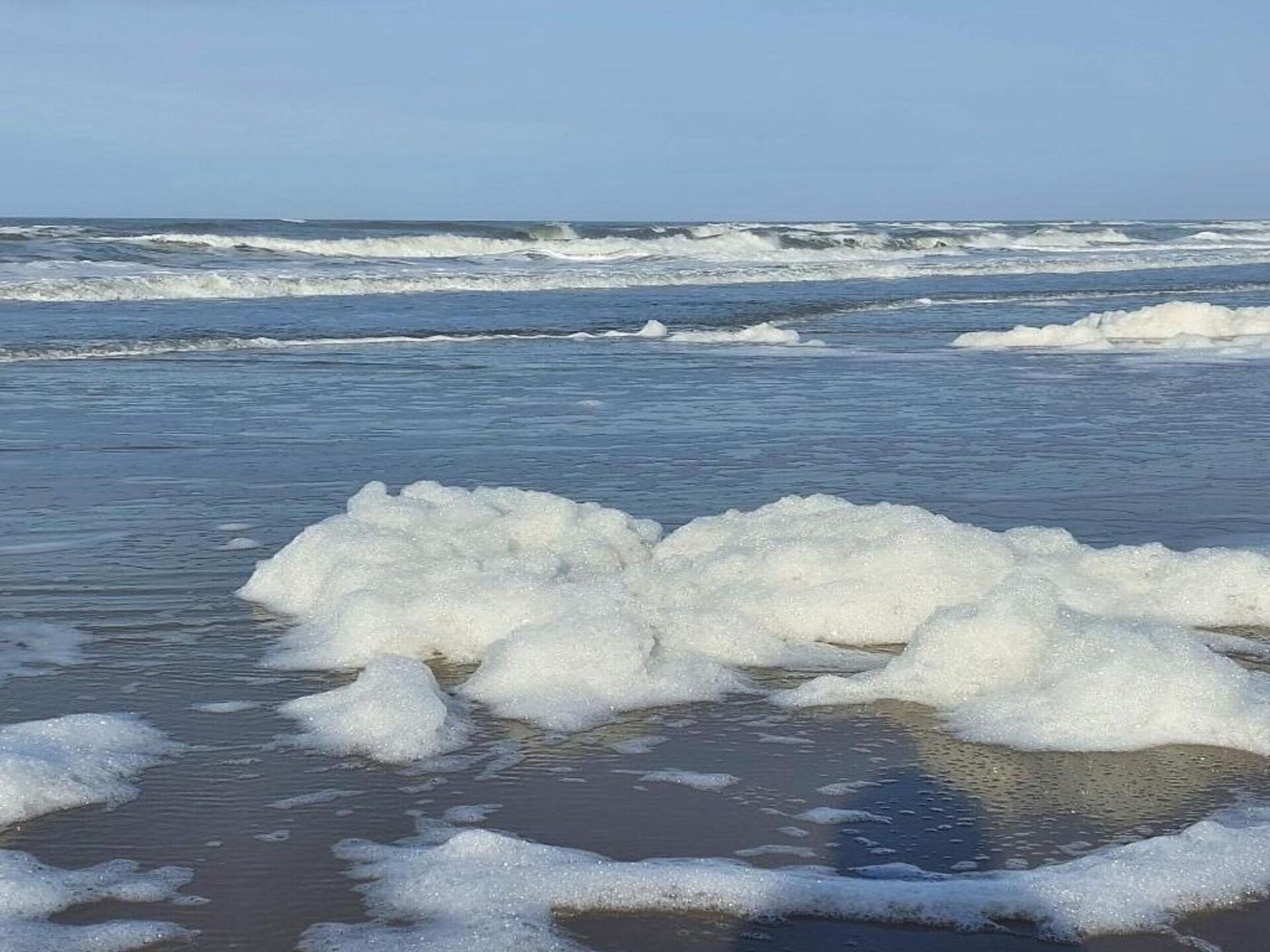 Hazenborgh - Zon: Knus appartement aan de golfbaan bij het strand - foto 35