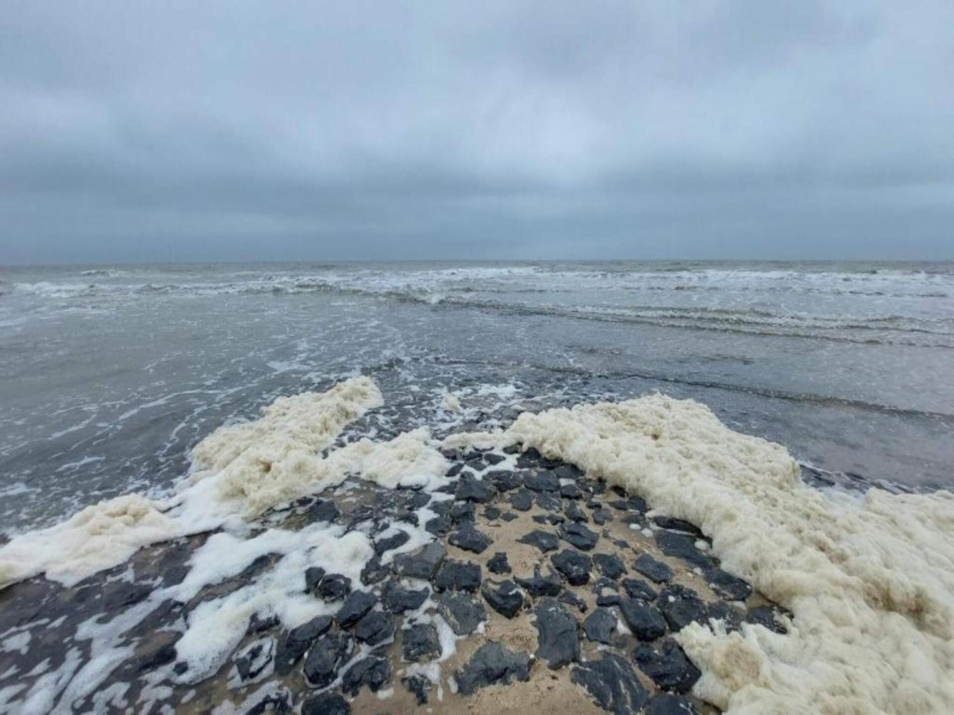 Hazenborgh - Zon: Knus appartement aan de golfbaan bij het strand - foto 36