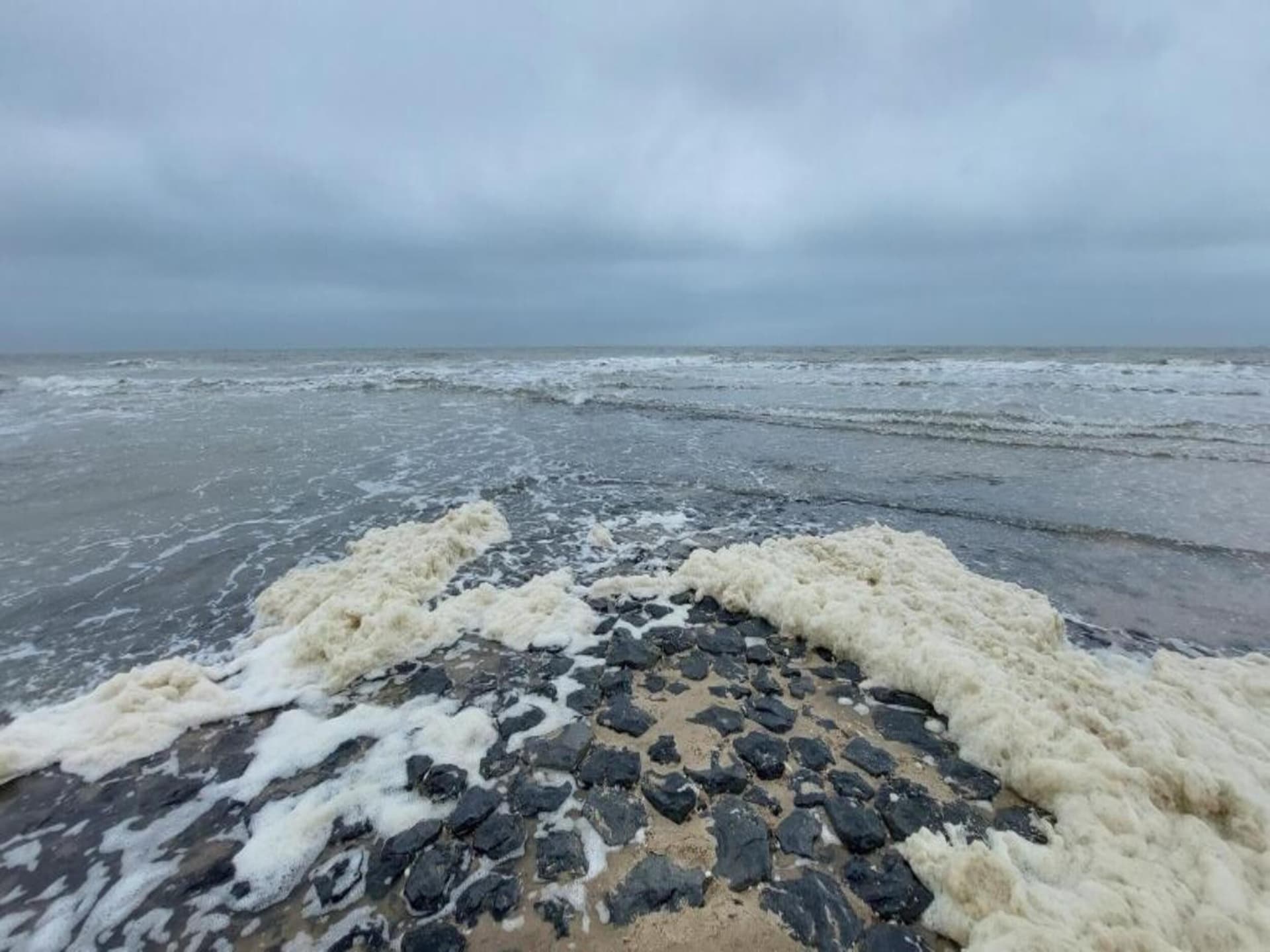 Hazenborgh Zand: huisdiervriendelijk appartement bij golfbaan en strand - foto 34