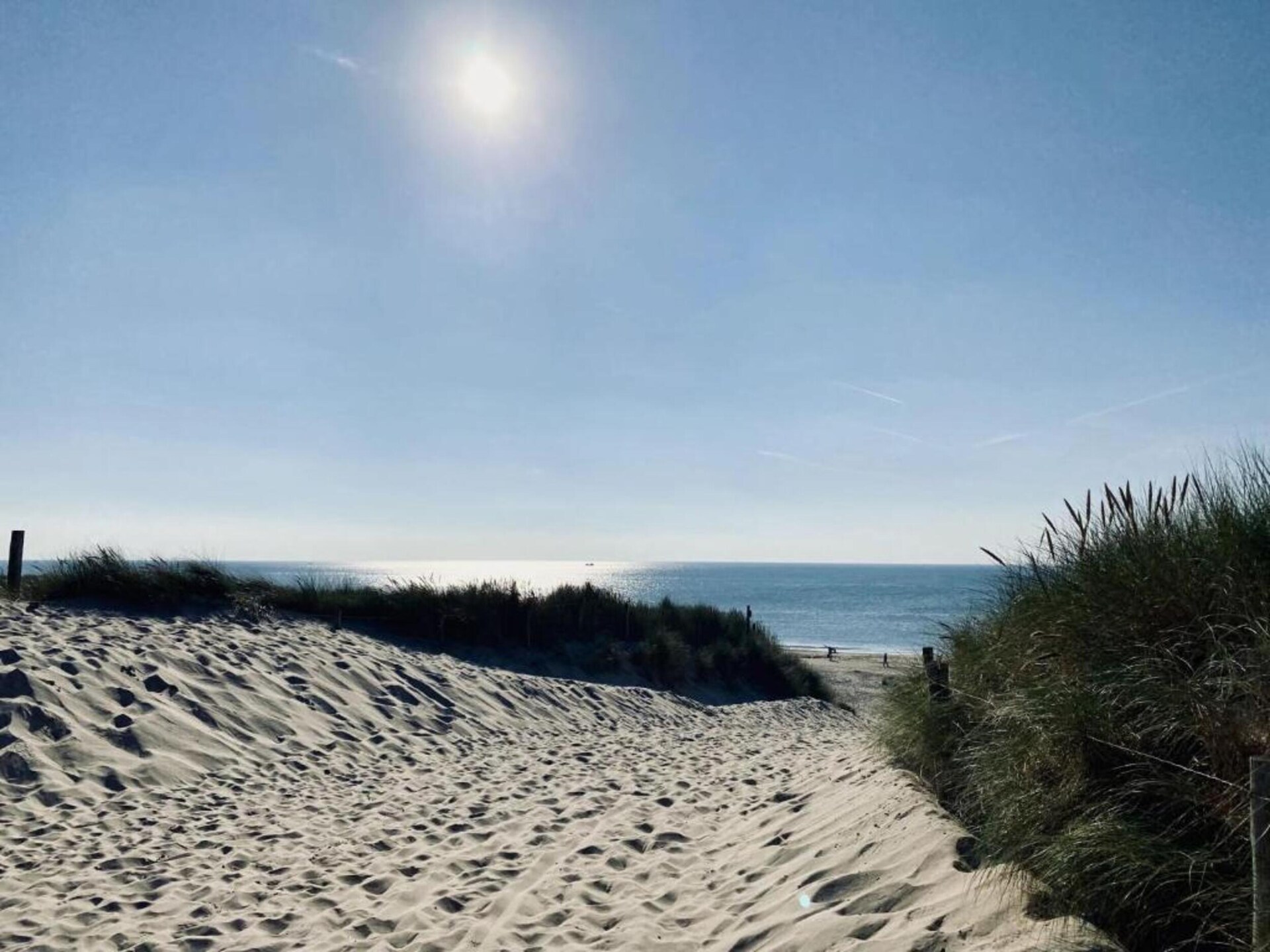 Hazenborgh Zand: huisdiervriendelijk appartement bij golfbaan en strand - foto 35