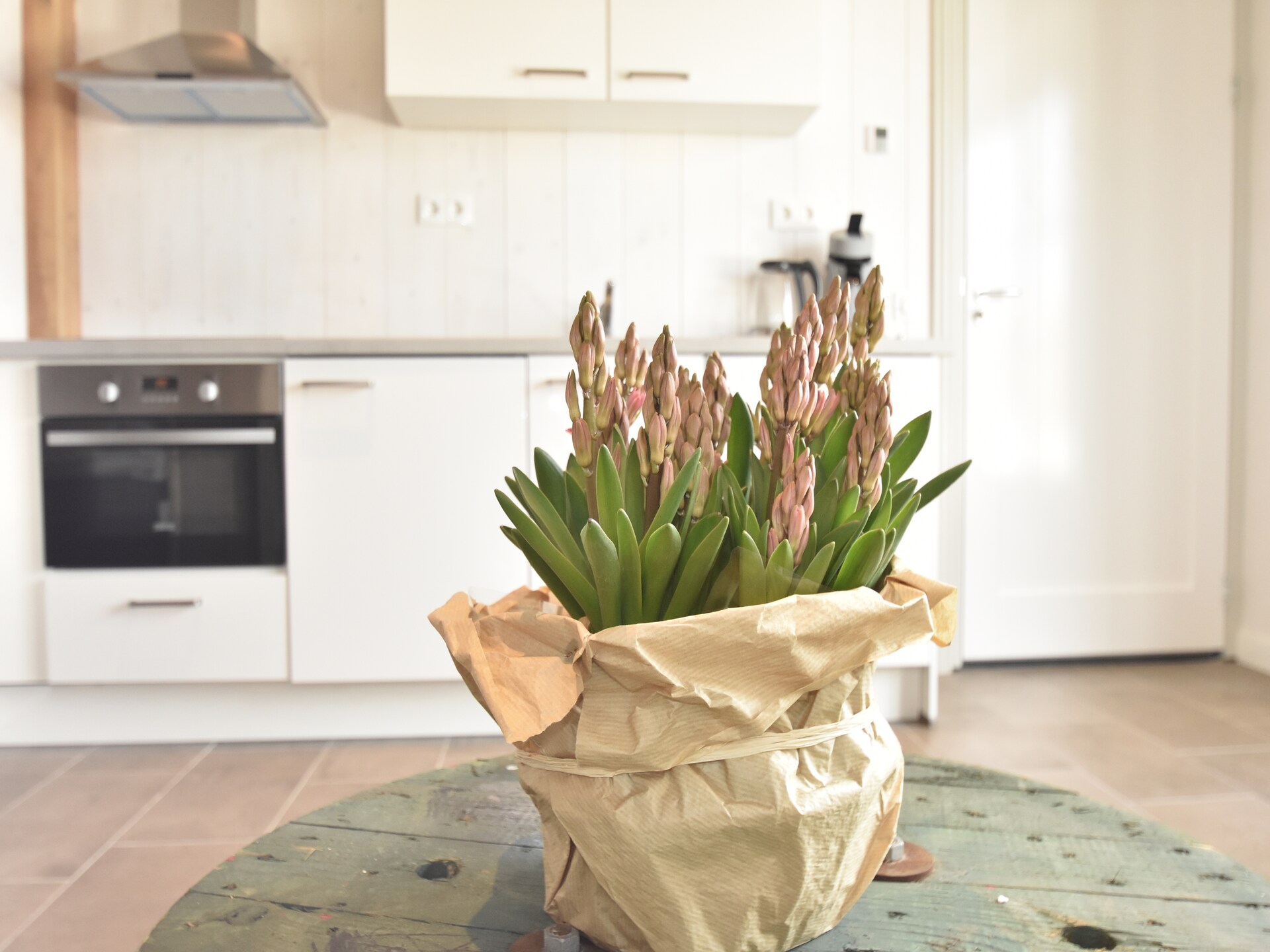 Hazenborgh Studio Eb: Knus vakantiehuis voor 2 in Callantsoog - foto 40