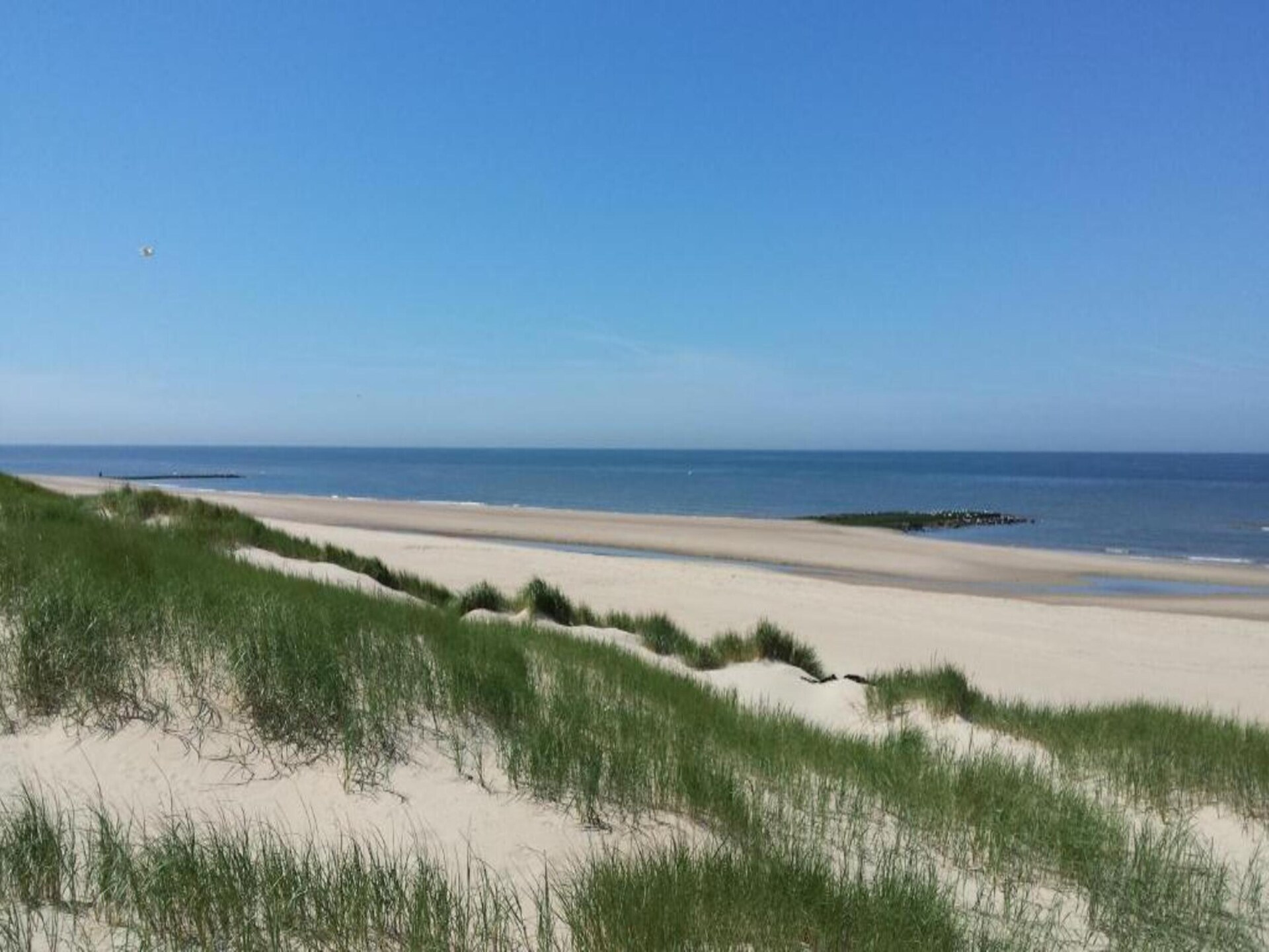 Hazenborgh Studio Eb: Knus vakantiehuis voor 2 in Callantsoog - foto 28