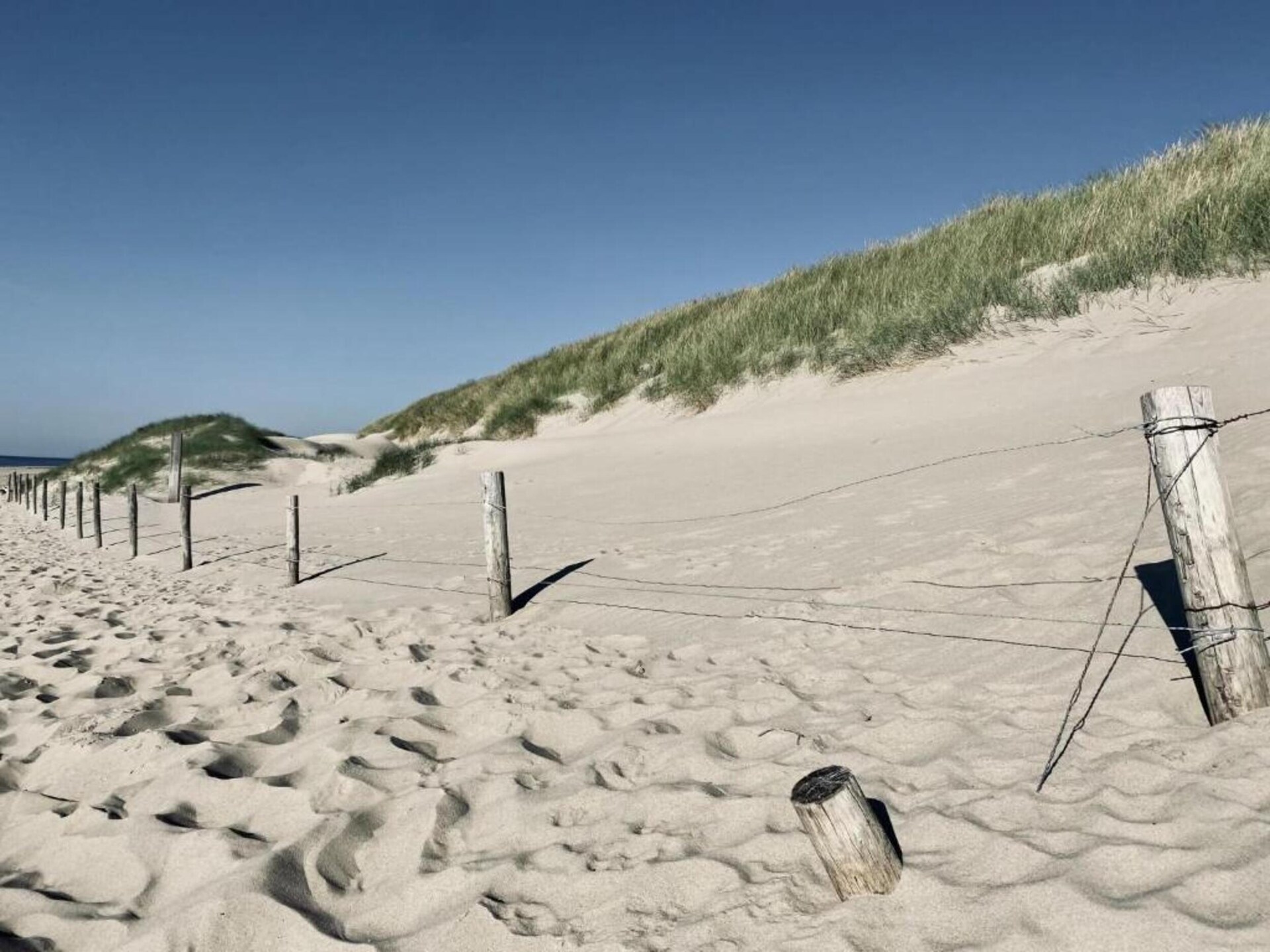 Hazenborgh Studio Eb: Knus vakantiehuis voor 2 in Callantsoog - foto 23