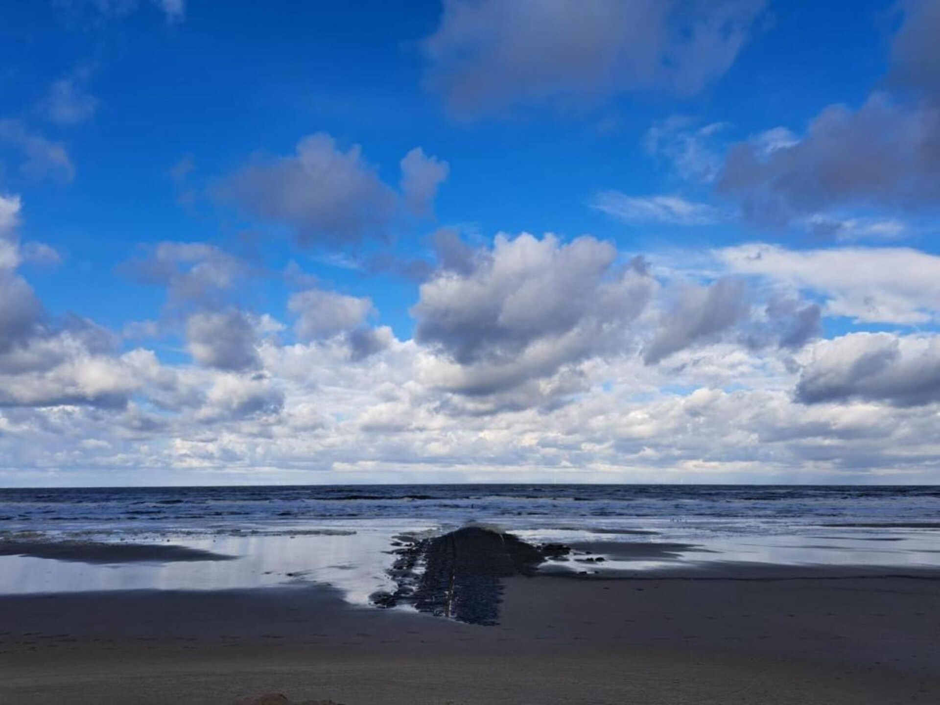 Hazenborgh Studio Eb: Knus vakantiehuis voor 2 in Callantsoog - foto 36