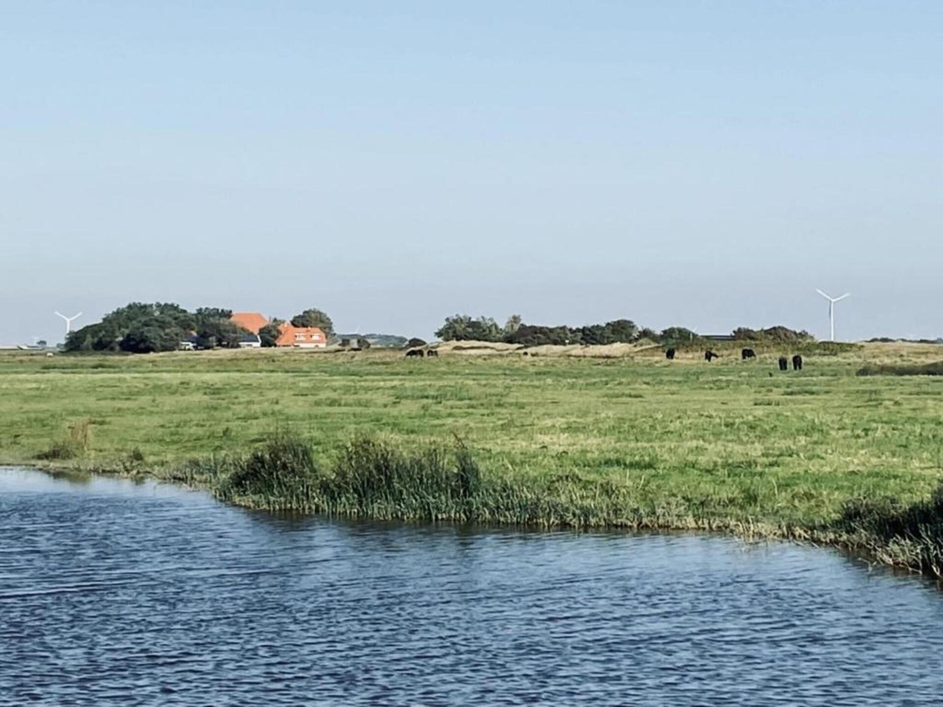 Hazenborgh Studio Eb: Knus vakantiehuis voor 2 in Callantsoog - foto 21