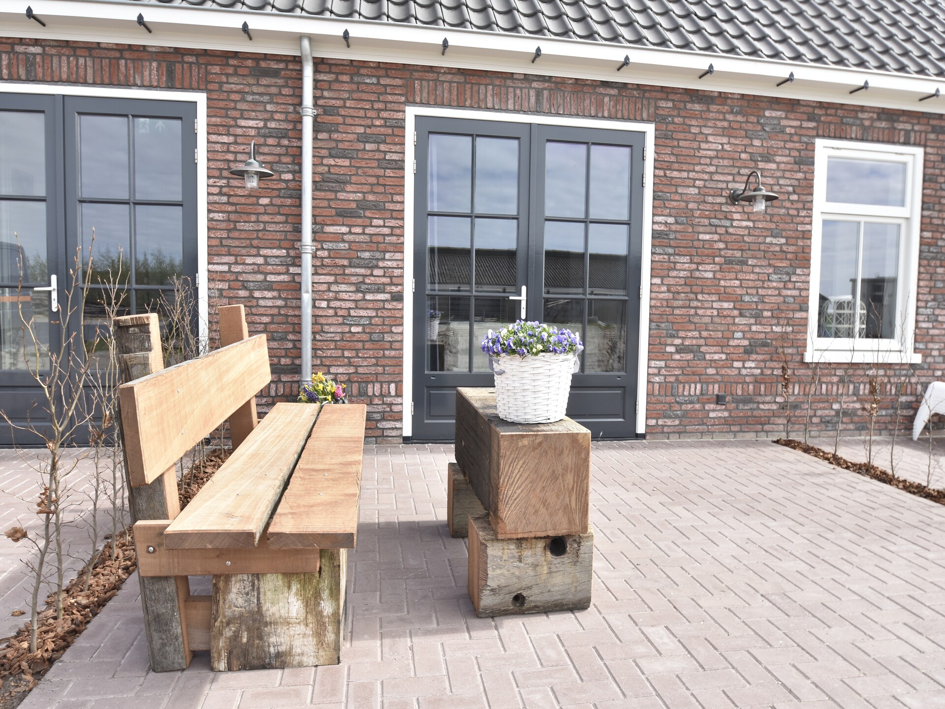 Hazenborgh Studio Vloed: knus vakantiehuis aan de Noord-Hollandse kust - foto 11