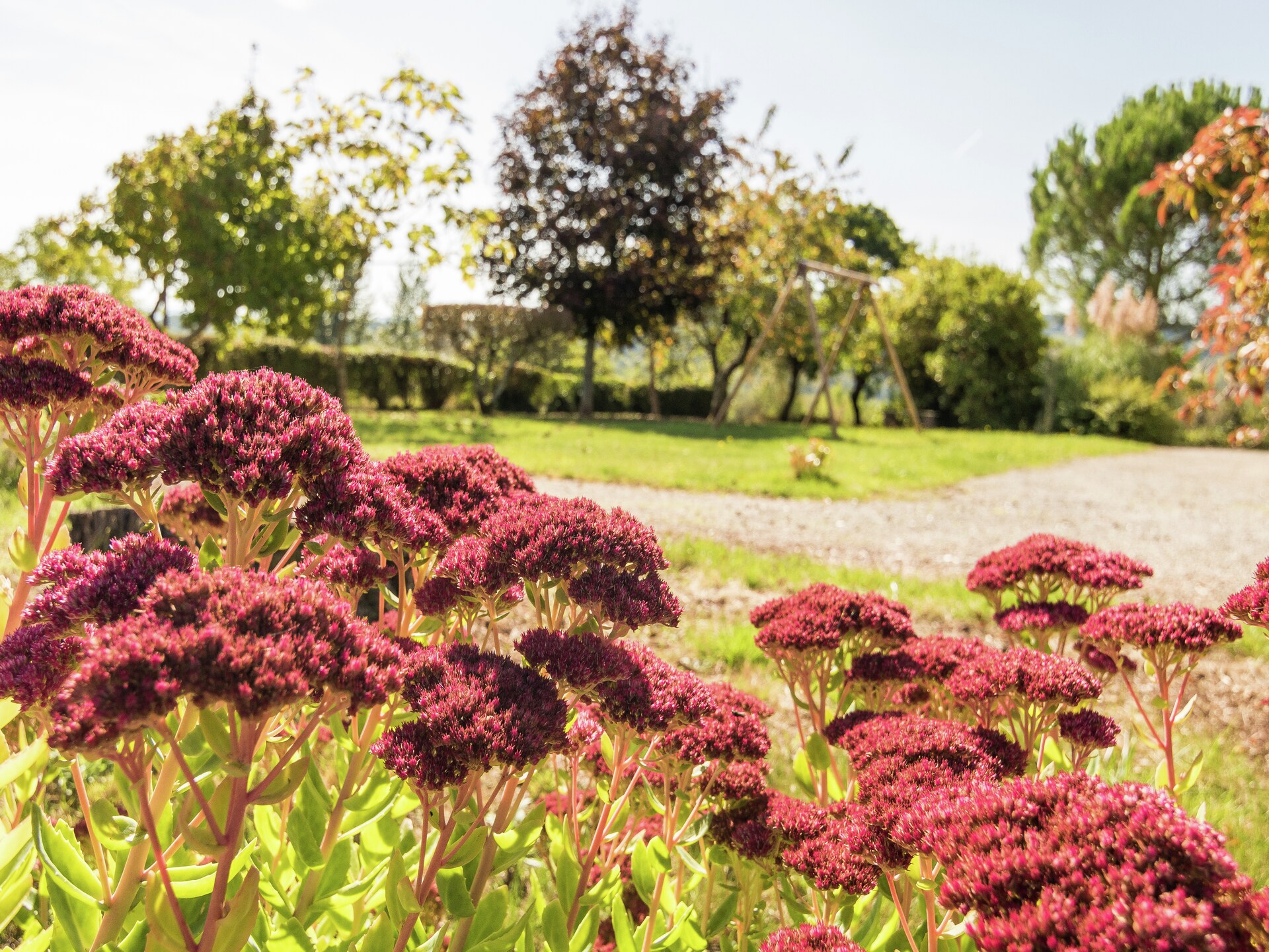 16e-eeuws vakantiehuis met zwembad en tuin bij de Dordogne - foto 38