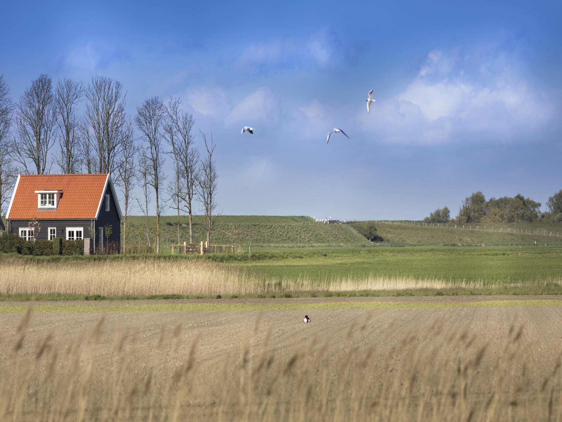 Luxe boerderijwoning aan Nationaalpark Oosterschelde met panoramisch uitzicht - foto 22