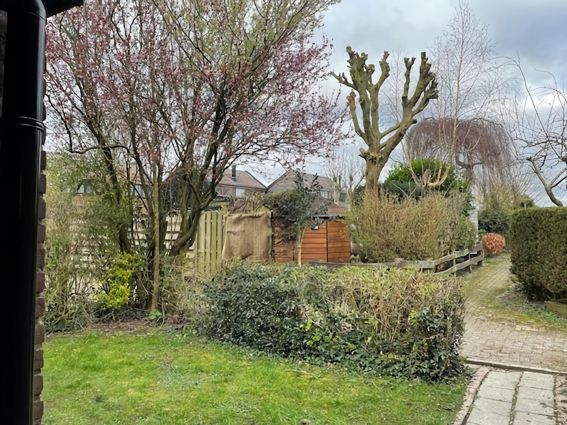 Knus vakantiehuis De Reker Zon in Warmenhuizen, dichtbij zee en bos - foto 21