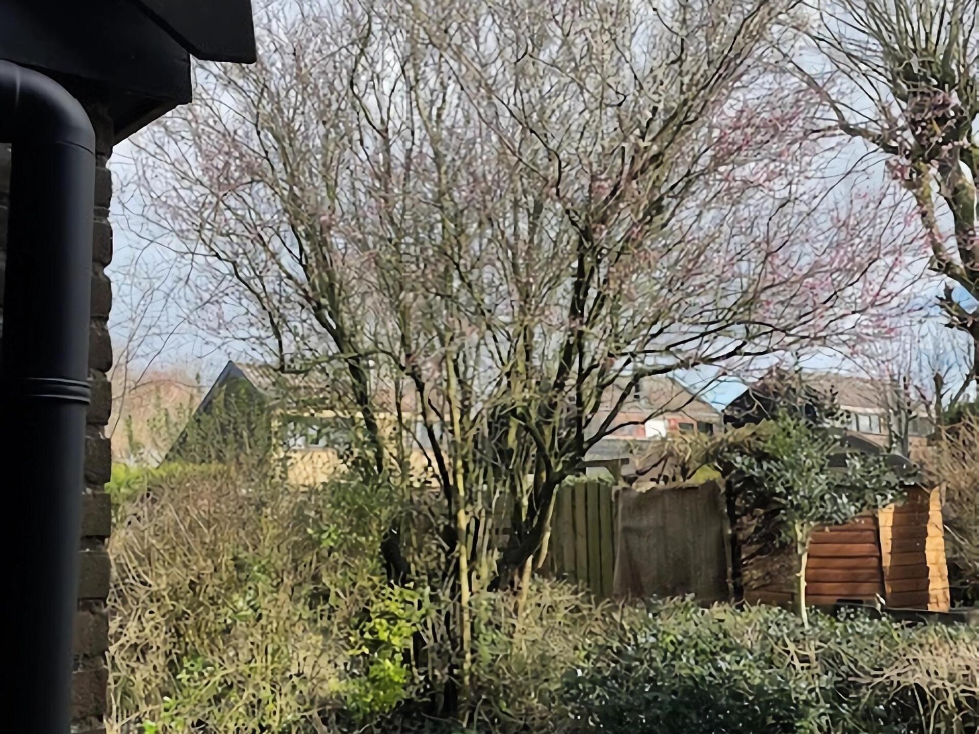 Knus vakantiehuis De Reker Zon in Warmenhuizen, dichtbij zee en bos - foto 34