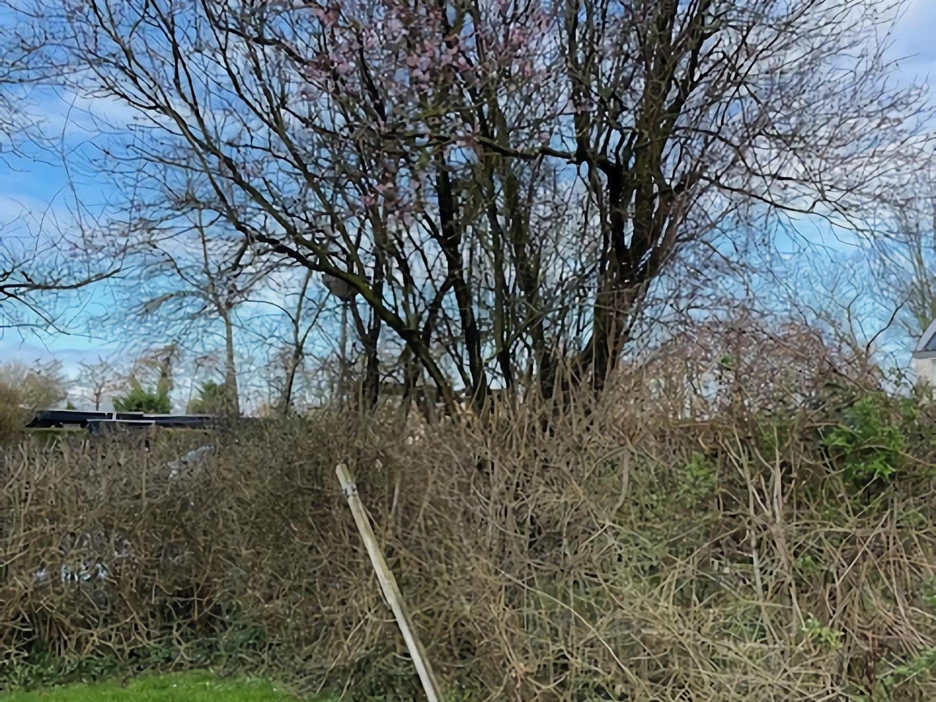 Knus vakantiehuis De Reker Zon in Warmenhuizen, dichtbij zee en bos - foto 35