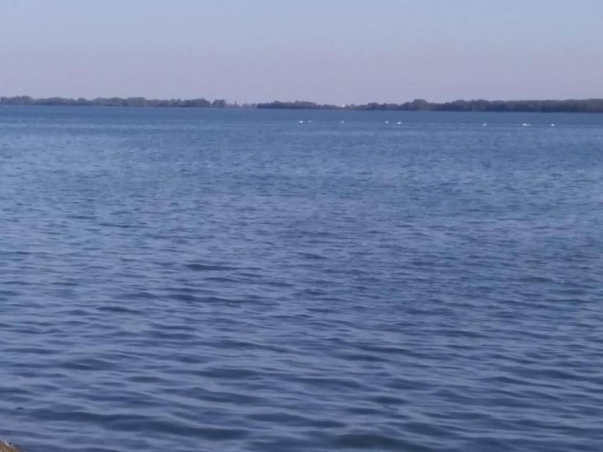 Vrijstaand vakantiehuis Baric op eiland Iž, 500m van zee - foto 36