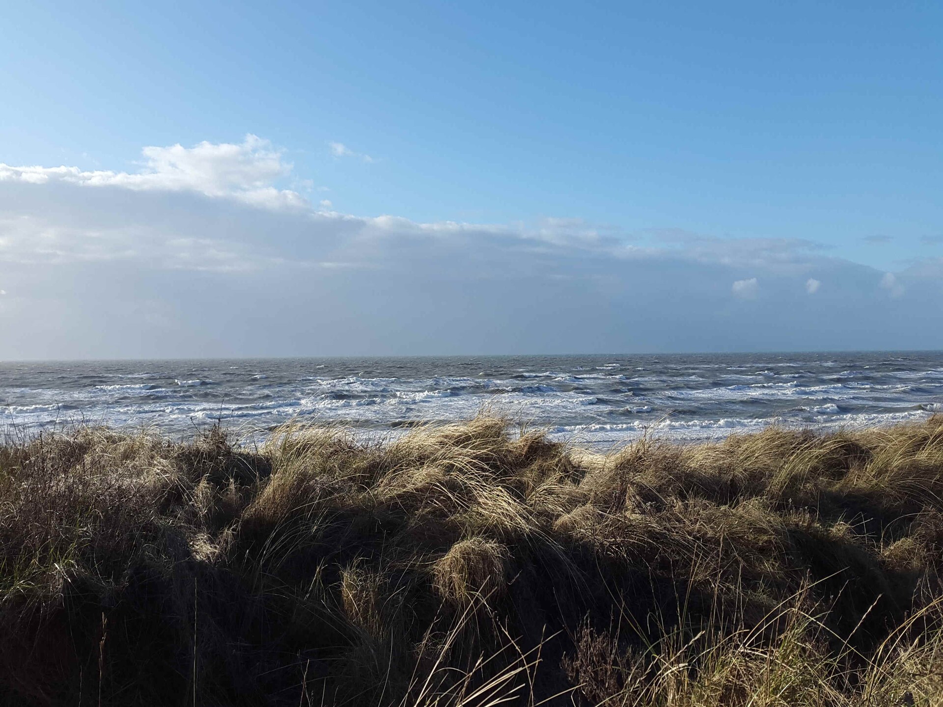 't Zeepaardje: sfeervol vakantiehuis aan zee en meer in Noordwijkerhout - foto 35