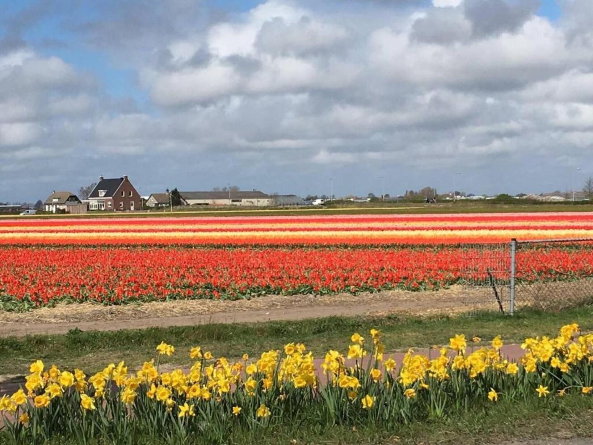 't Zeepaardje: sfeervol vakantiehuis aan zee en meer in Noordwijkerhout - foto 40