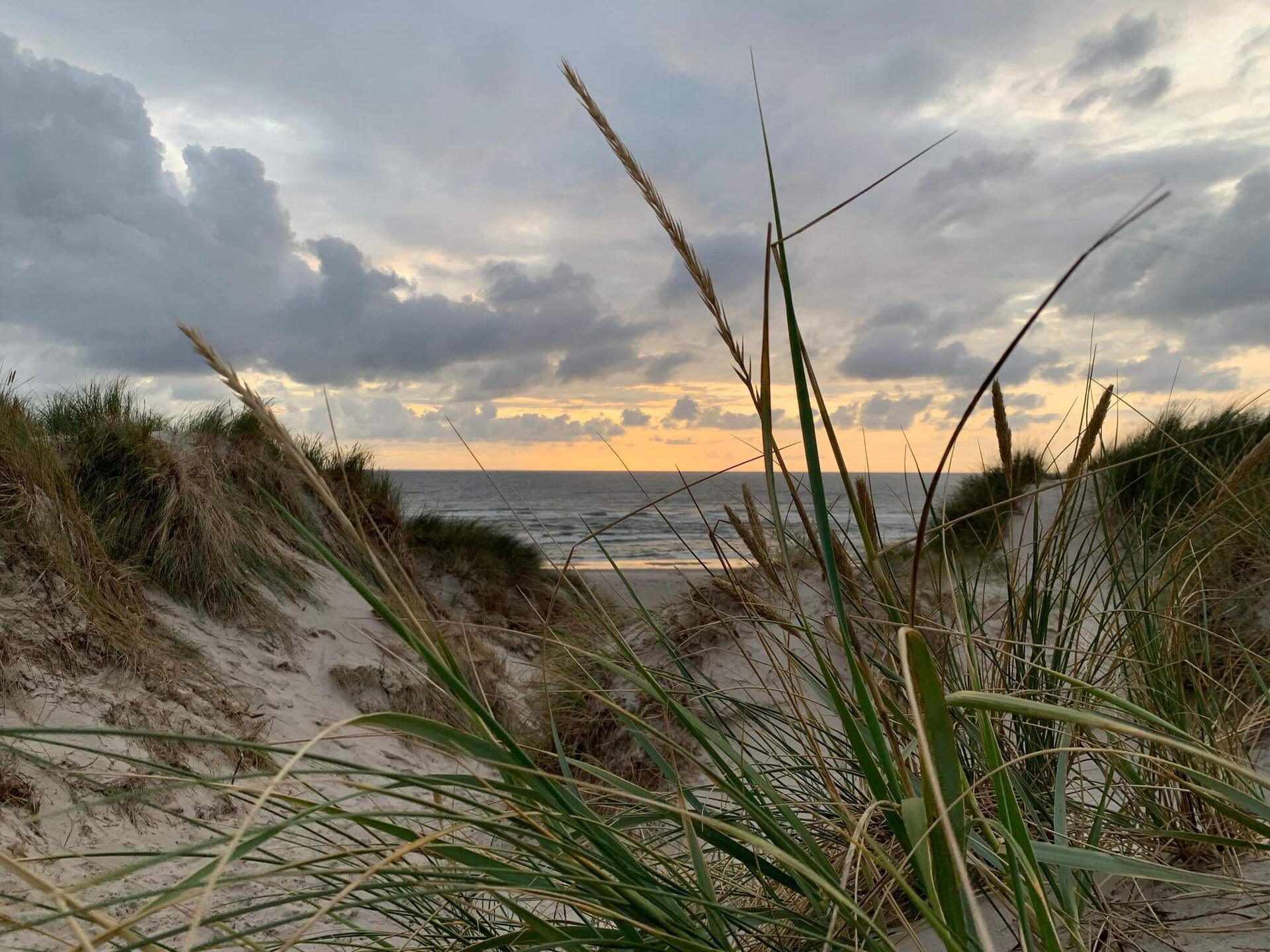 Traditioneel vakantiehuis op een beschut natuurperceel bij Vejers Strand - foto 7