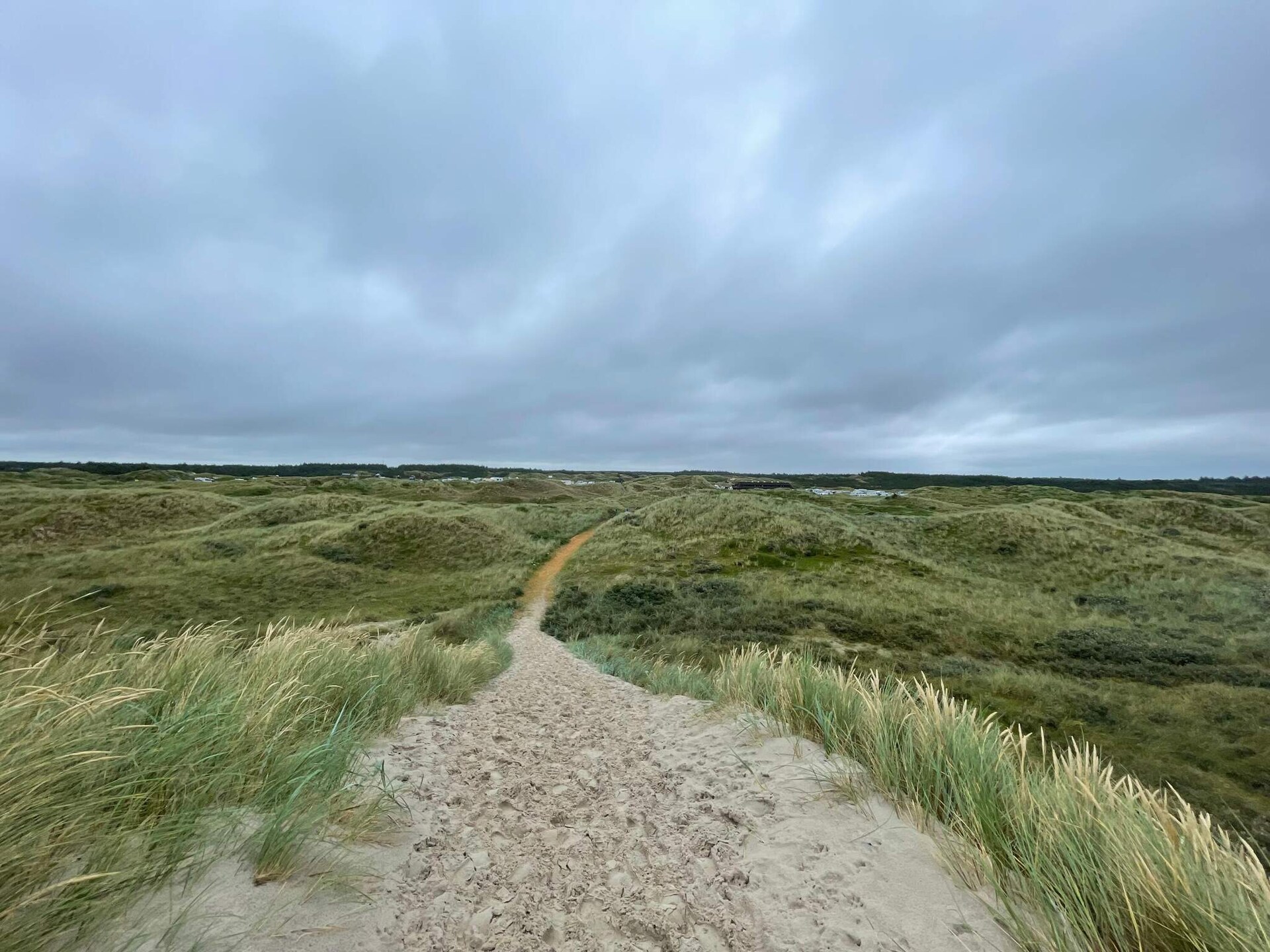 Traditioneel vakantiehuis op een beschut natuurperceel bij Vejers Strand - foto 8