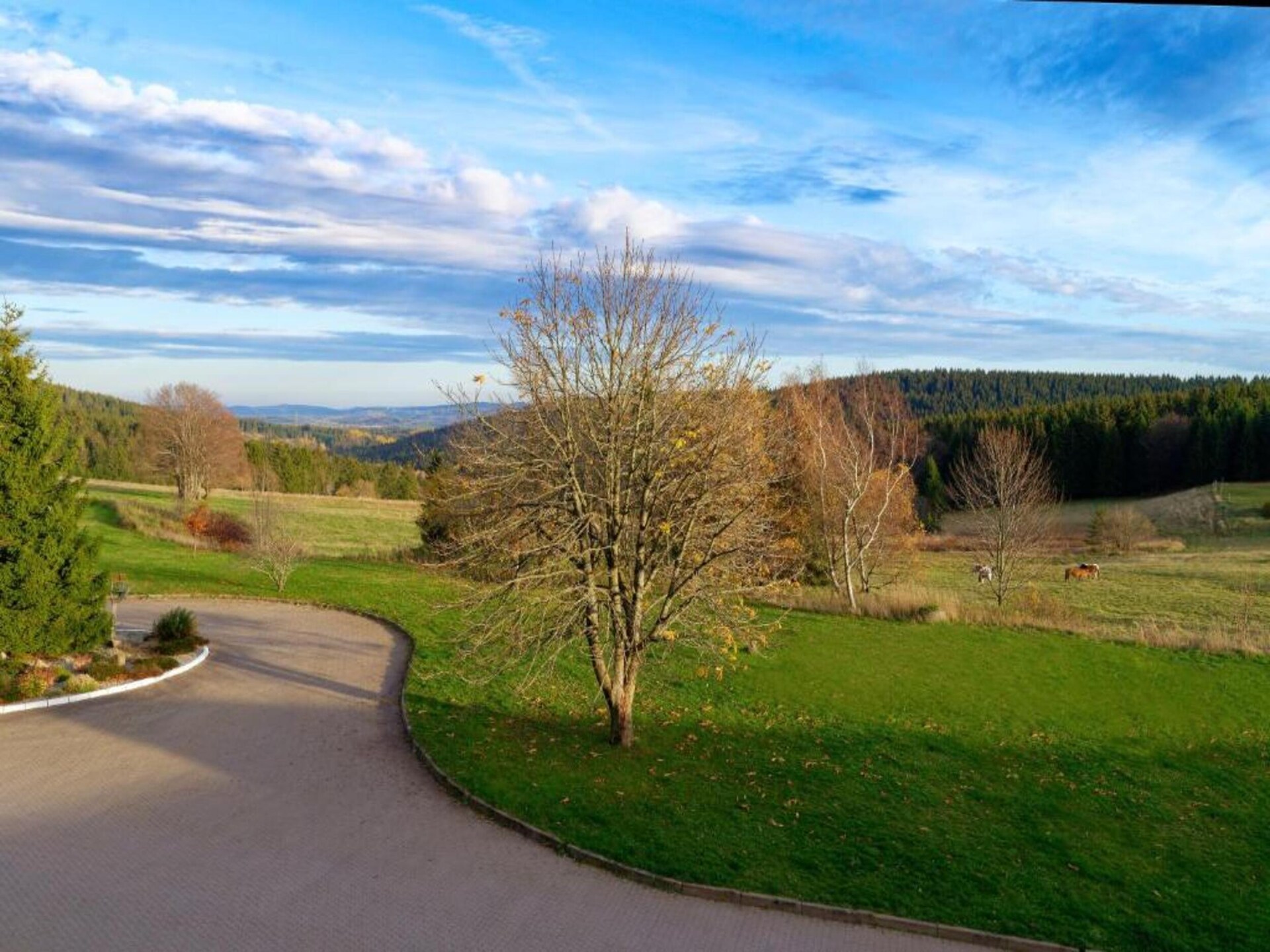 Ferienhaus Ilona: Vrijstaand vakantiehuis met tuin aan de rand van het bos in Thüringen - foto 29