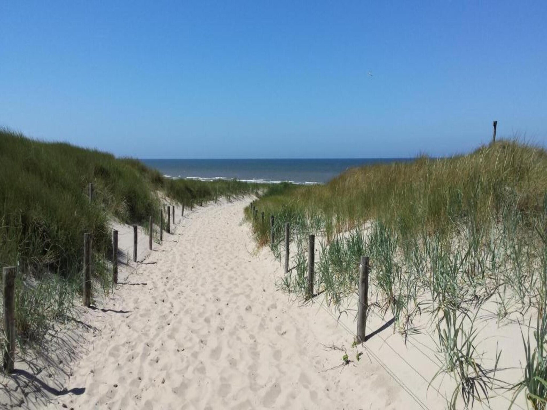 Appartement Zilte Bries: golf & zee in Callantsoog, 4 pers. - foto 28