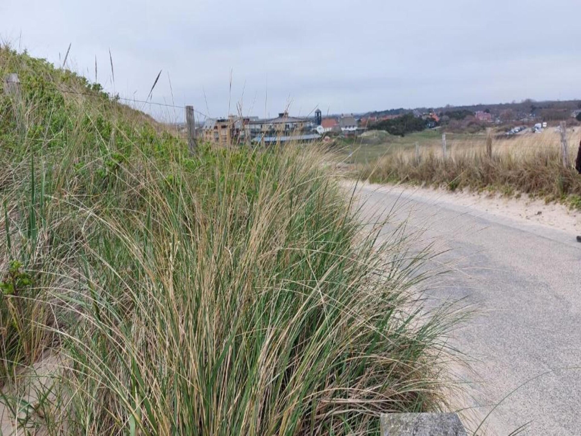 Appartement Zilte Bries: golf & zee in Callantsoog, 4 pers. - foto 31