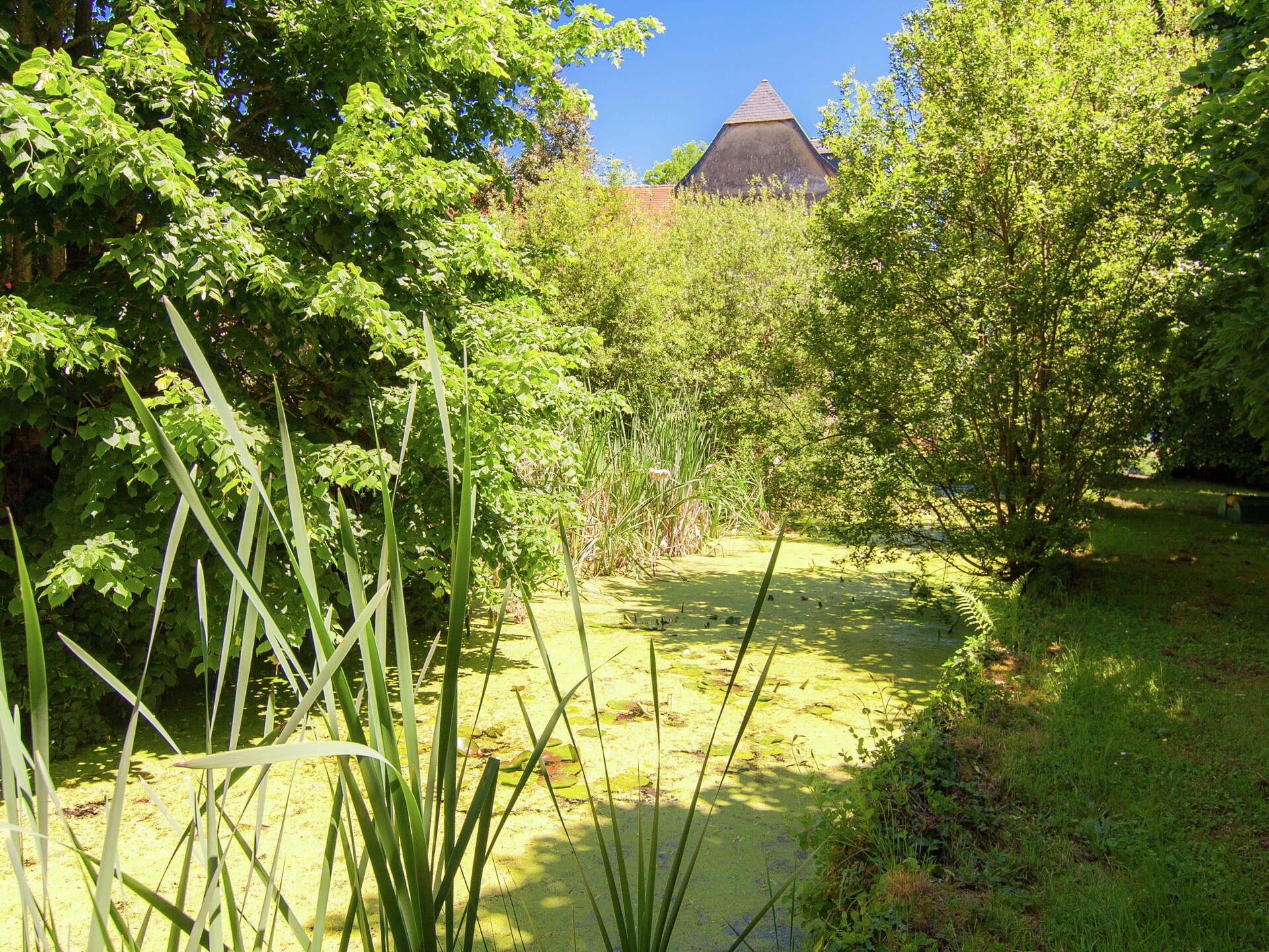 Authentiek landhuis in Dordogne met privézwembad en open haard - foto 32