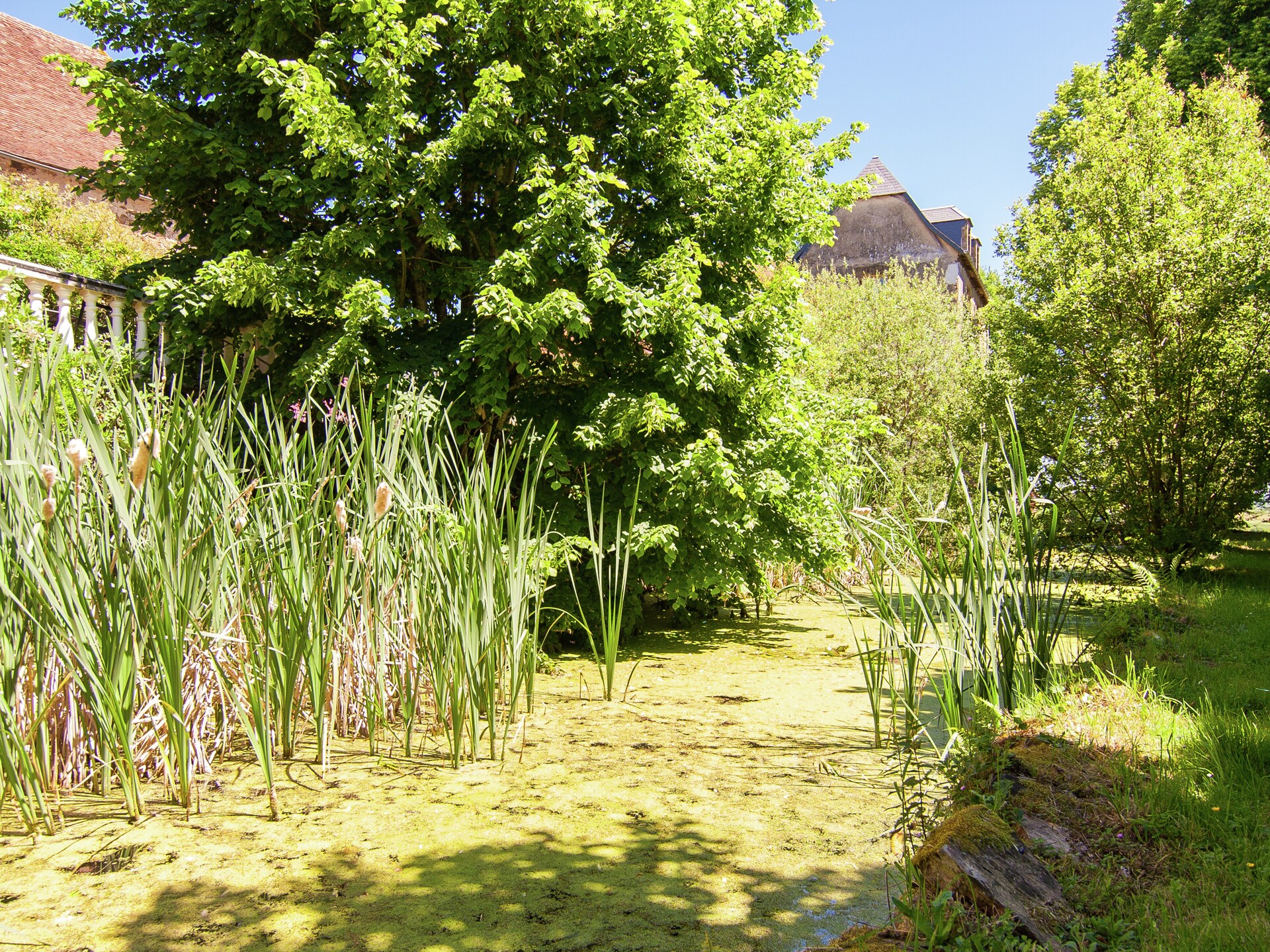 Authentiek landhuis in Dordogne met privézwembad en open haard - foto 35