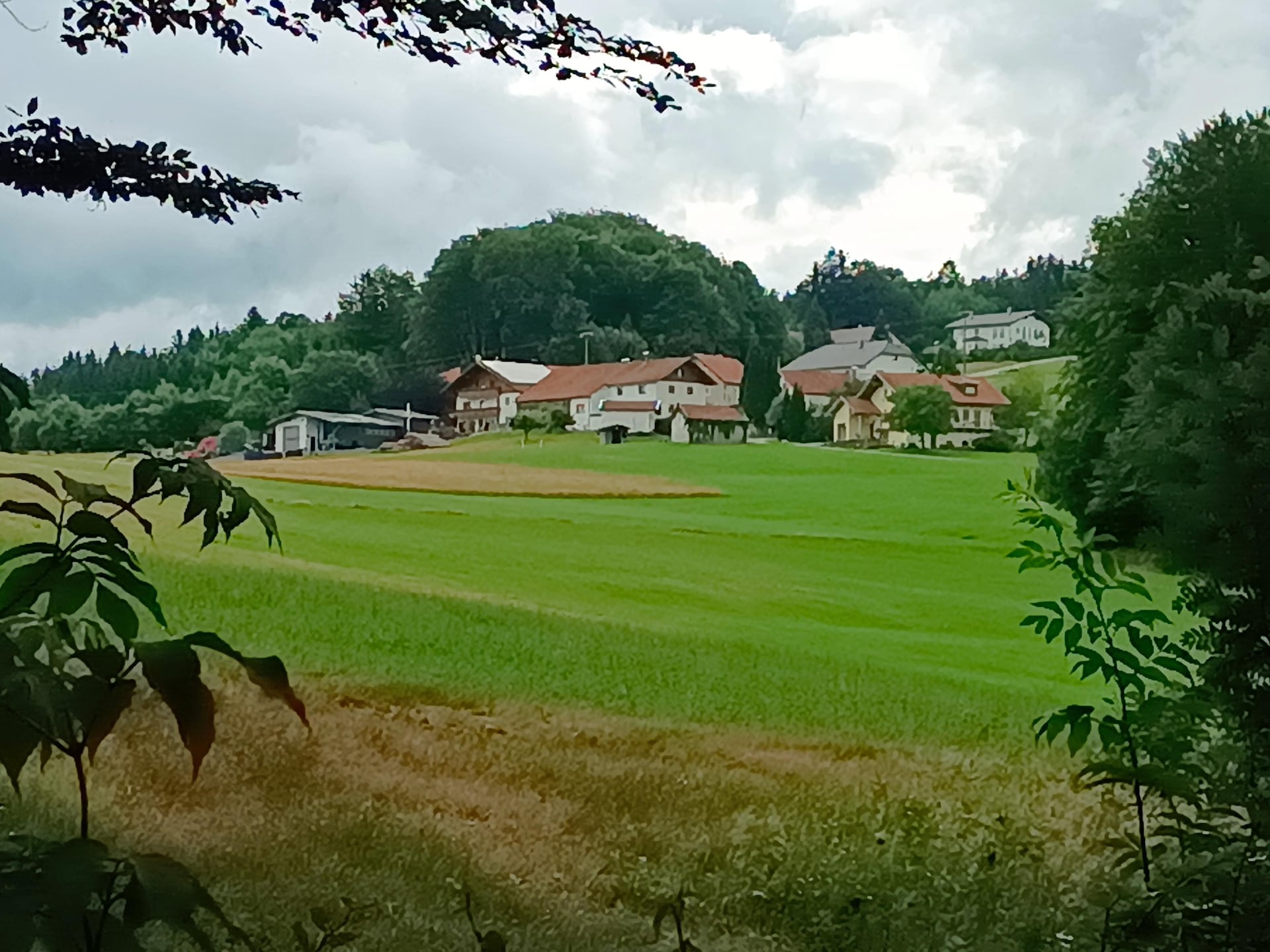 Golfbaan op 500m: Ruim appartement Haus Renate in Waldkirchen - foto 28