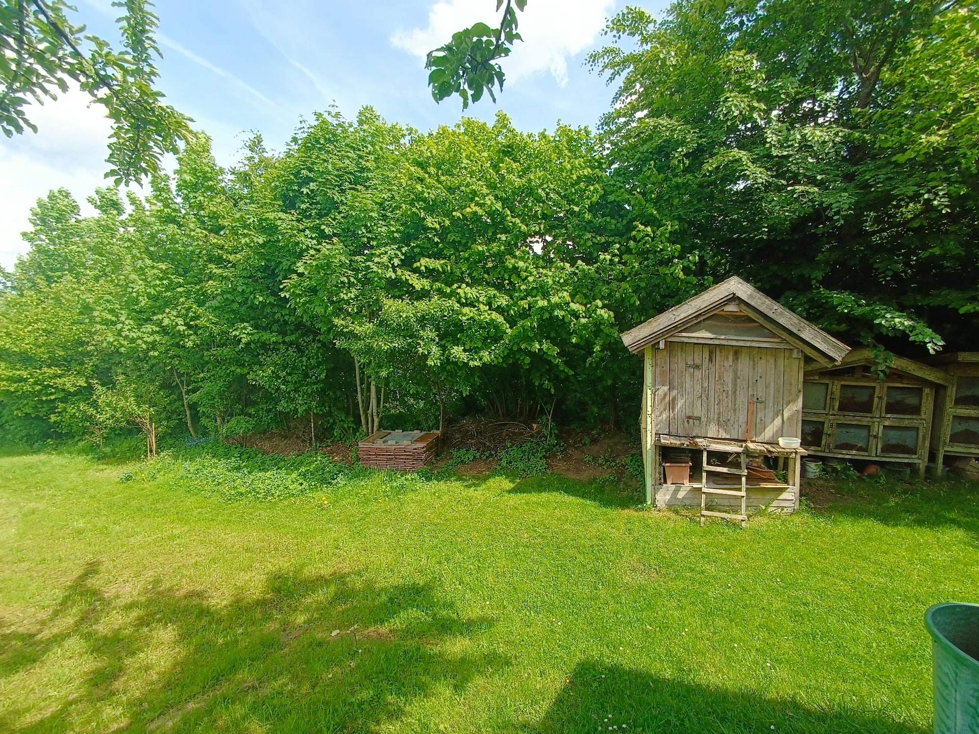 Golfbaan op 500m: Ruim appartement Haus Renate in Waldkirchen - foto 27