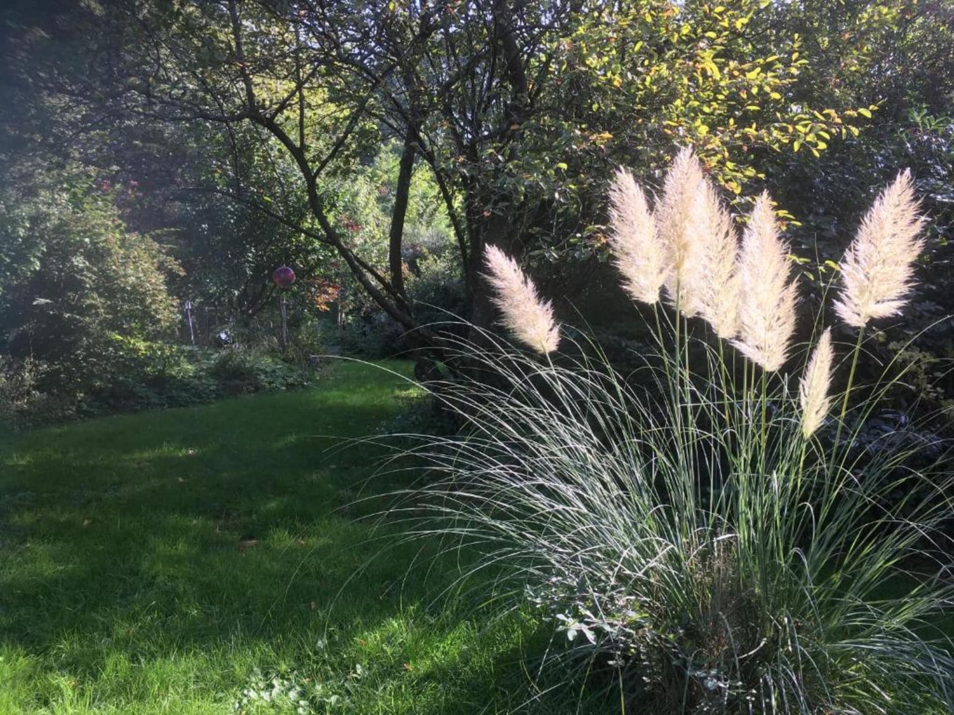 2-persoons appartement in Waldkirchen nabij golfbaan - foto 35