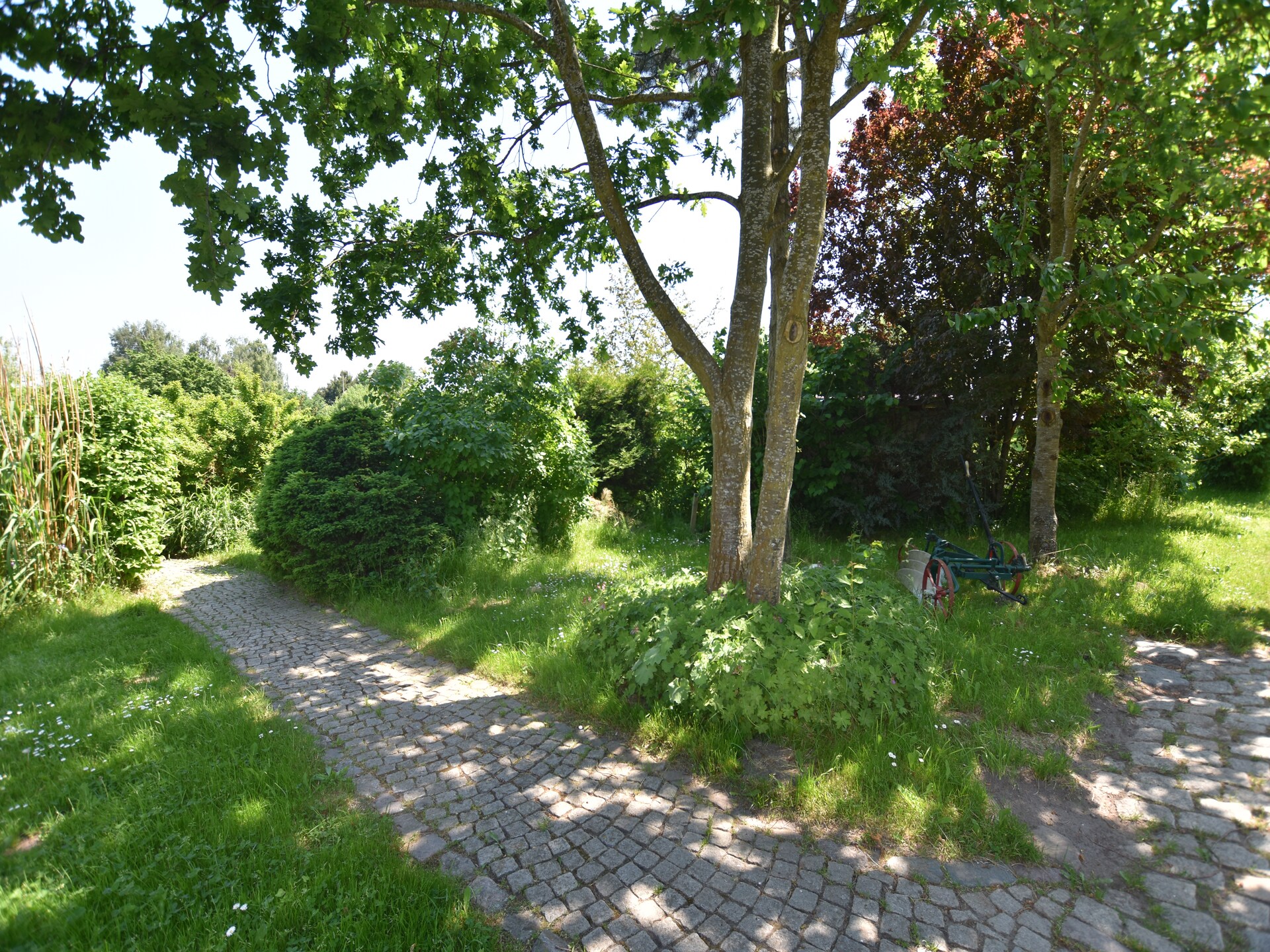 Familienferien Im Heumond - Ruim familieappartement bij Nationaal Park Vorpommersche Boddenlandschaft - foto 33