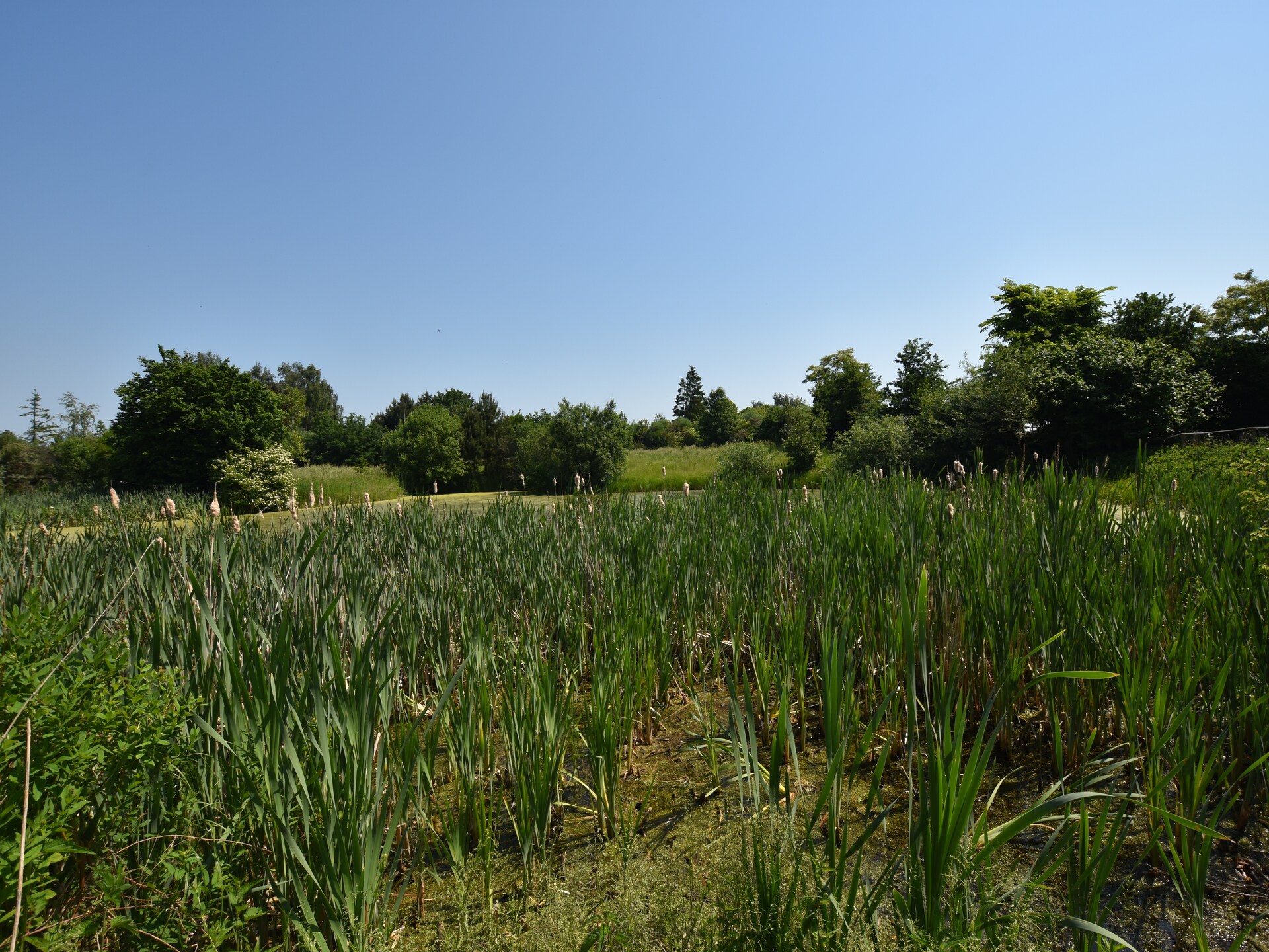 Familienferien Im Heumond - Ruim familieappartement bij Nationaal Park Vorpommersche Boddenlandschaft - foto 34