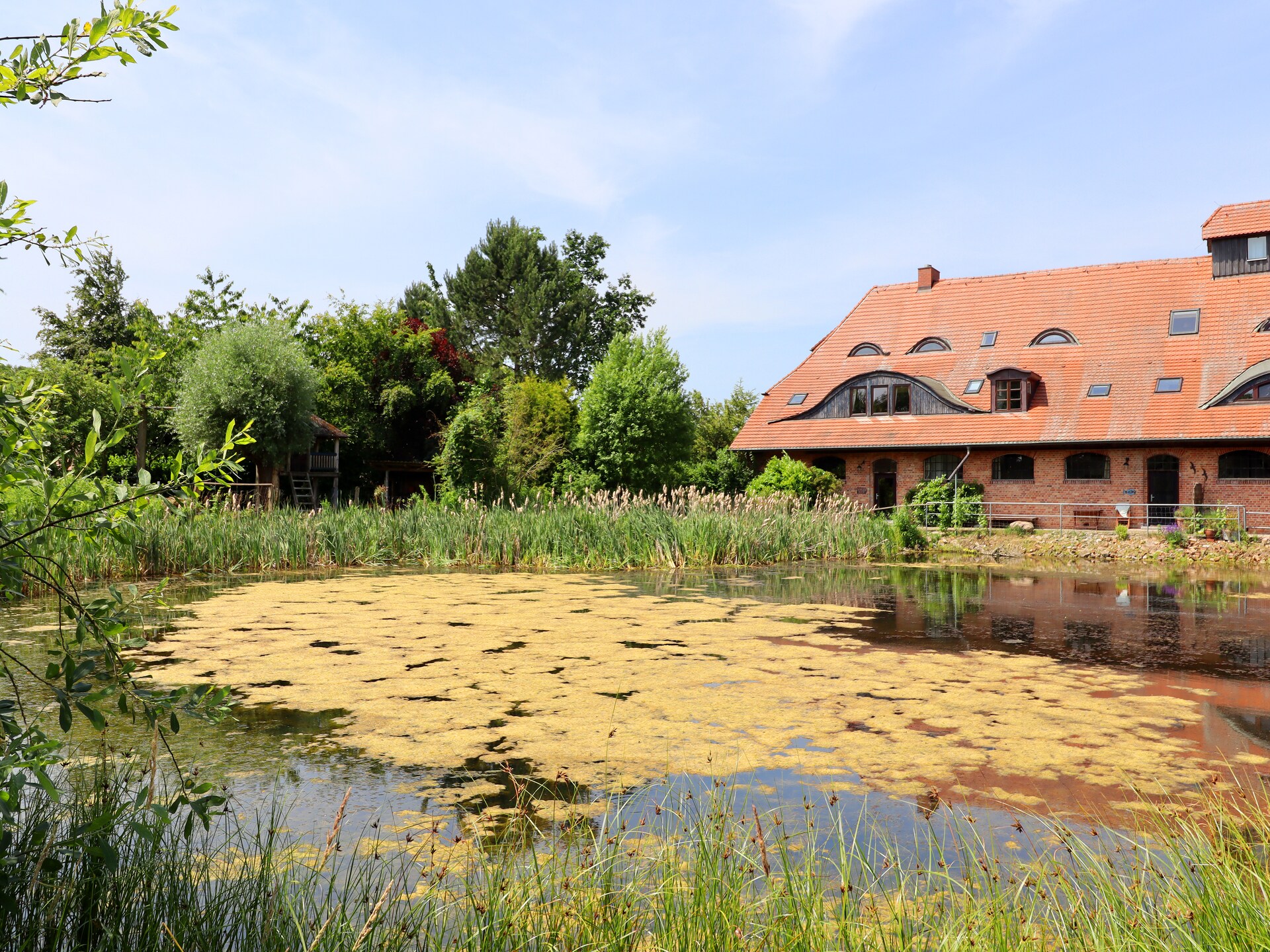 Rustiek Appartement op Ecoboerderij bij de Oostzee en Nationaal Park - foto 3