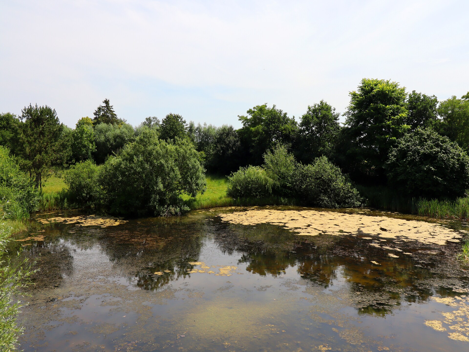 Rustiek Appartement op Ecoboerderij bij de Oostzee en Nationaal Park - foto 33