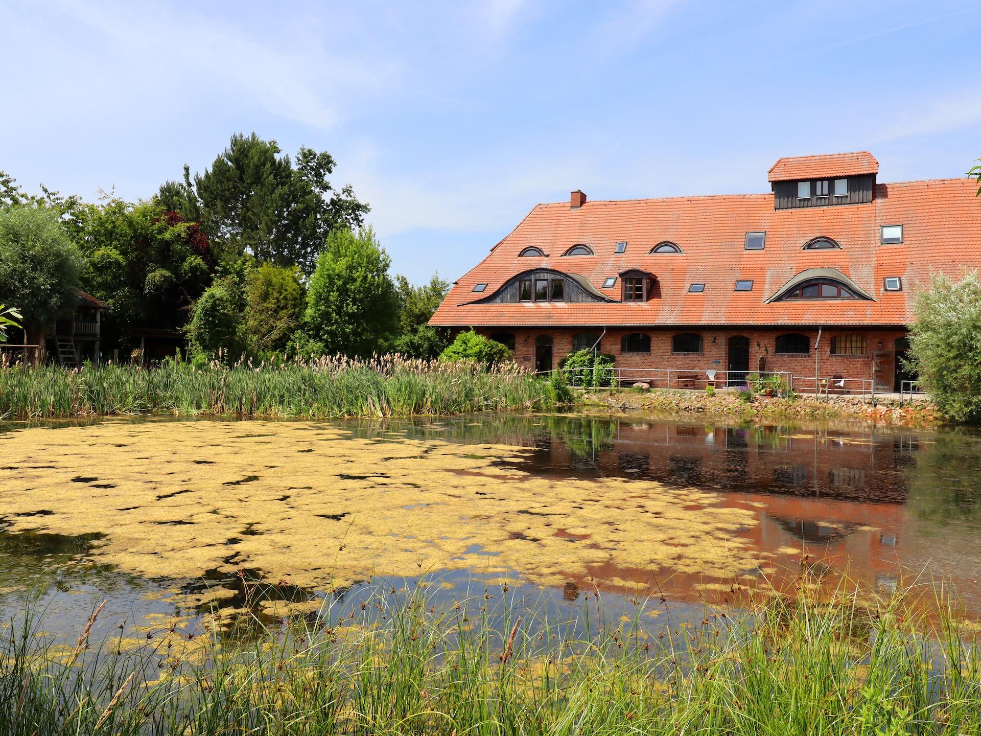 Ruim appartement voor 14 personen met tuin op het platteland van Buschenhagen - foto 8
