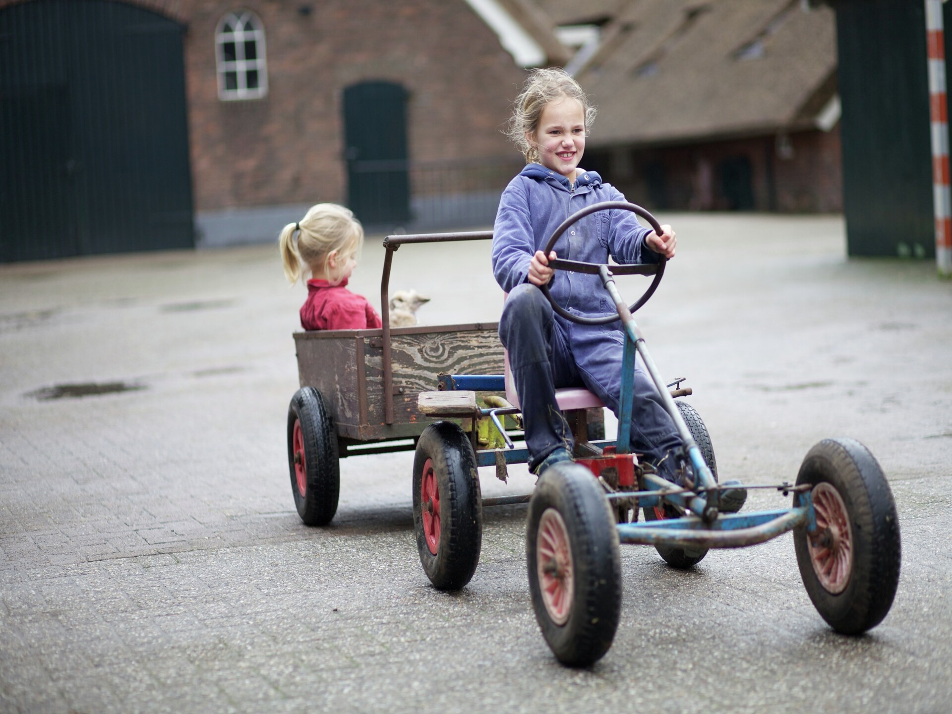 Koe in de Kost 2: unieke groene bungalow op het Sallandse platteland - foto 13