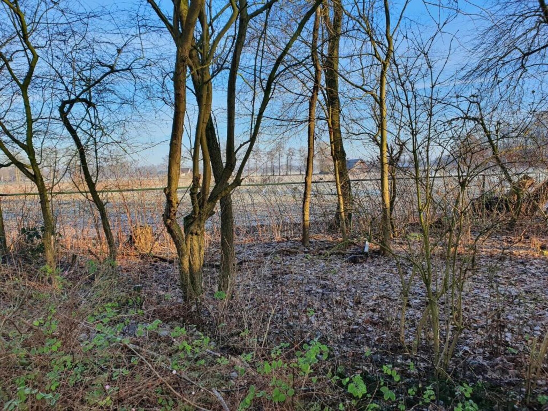 Koe in de Kost 2: unieke groene bungalow op het Sallandse platteland - foto 18