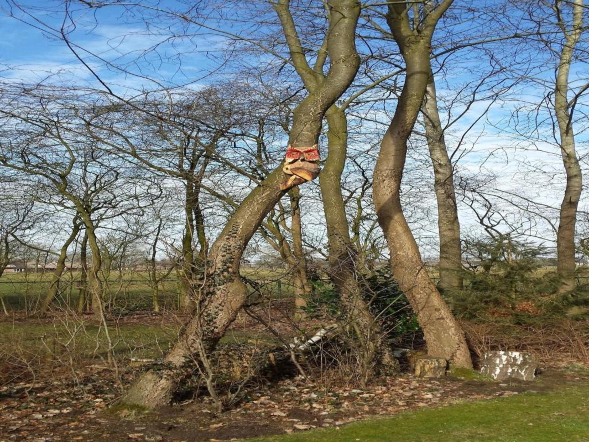 Koe in de Kost 2: unieke groene bungalow op het Sallandse platteland - foto 25