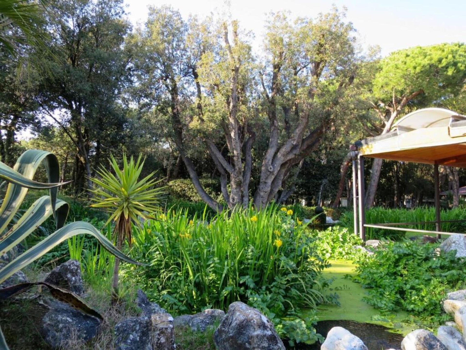 Ruim chalet voor 6 personen in Baia Domizia - foto 38