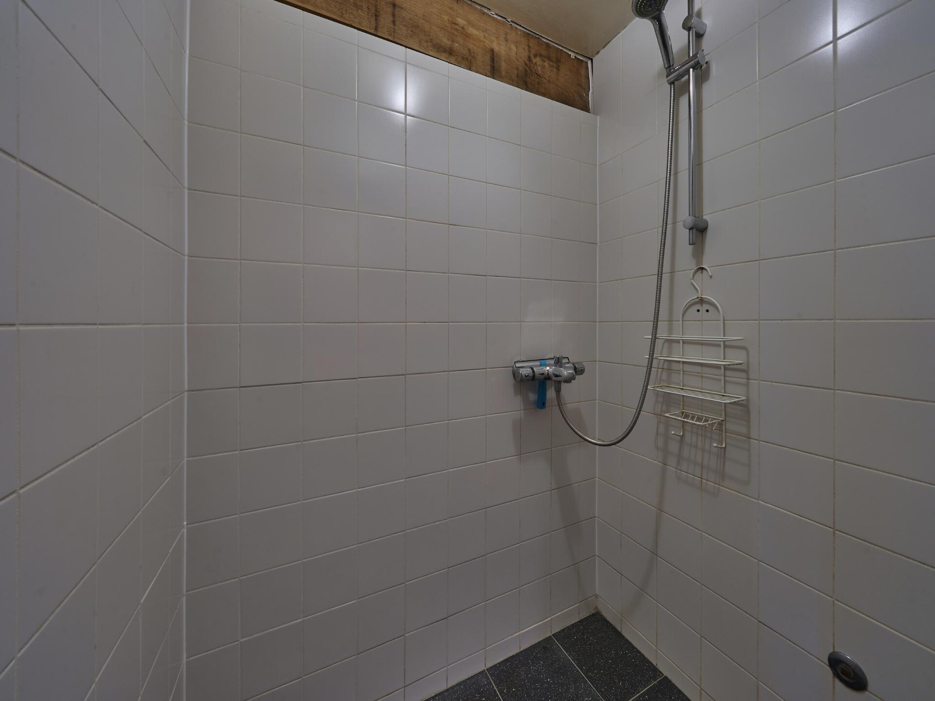 Meschermolen 1: Landelijk appartement tussen Savelsbos en golfbaan - foto 17