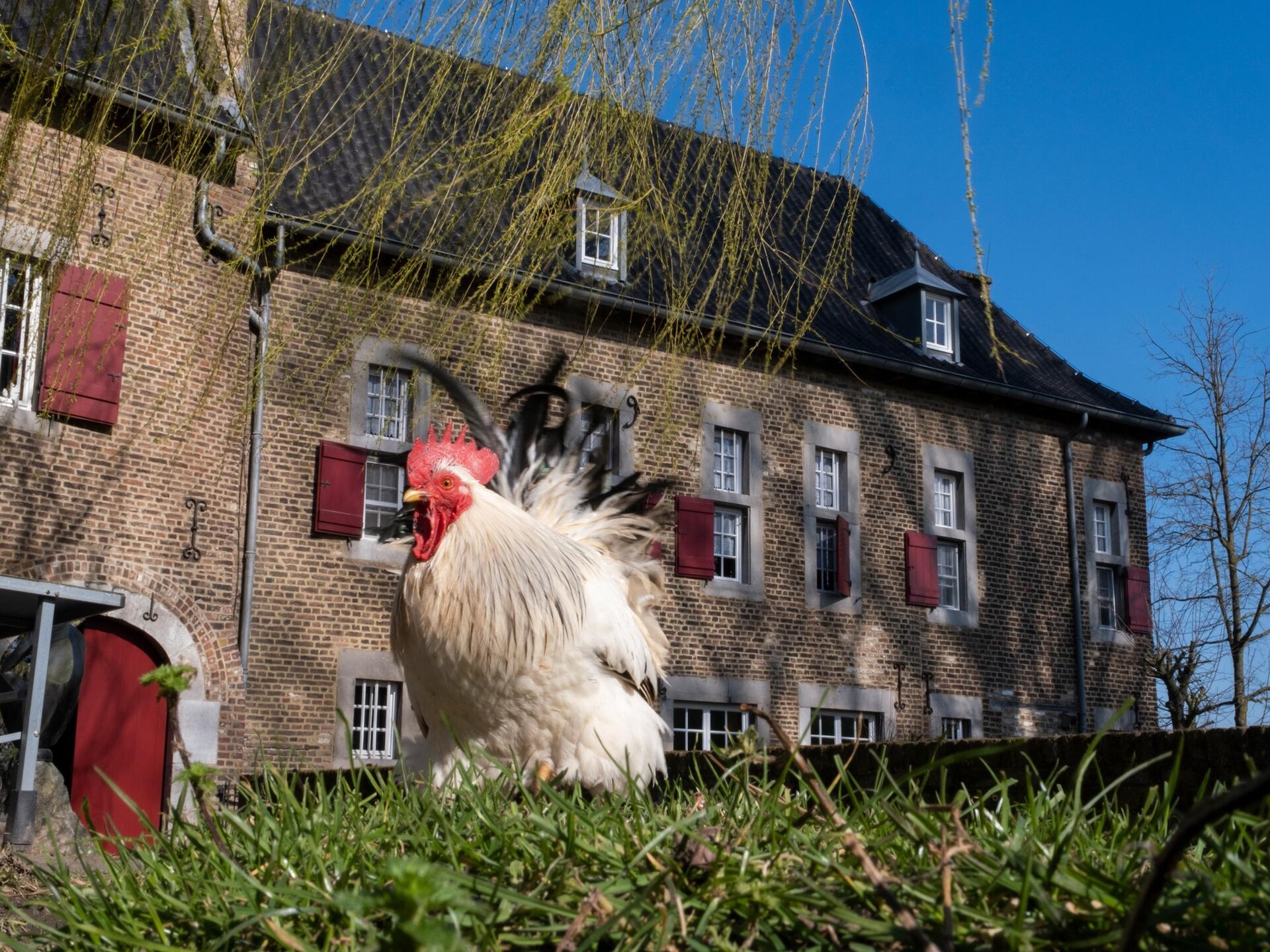 Meschermolen 1: Landelijk appartement tussen Savelsbos en golfbaan - foto 22
