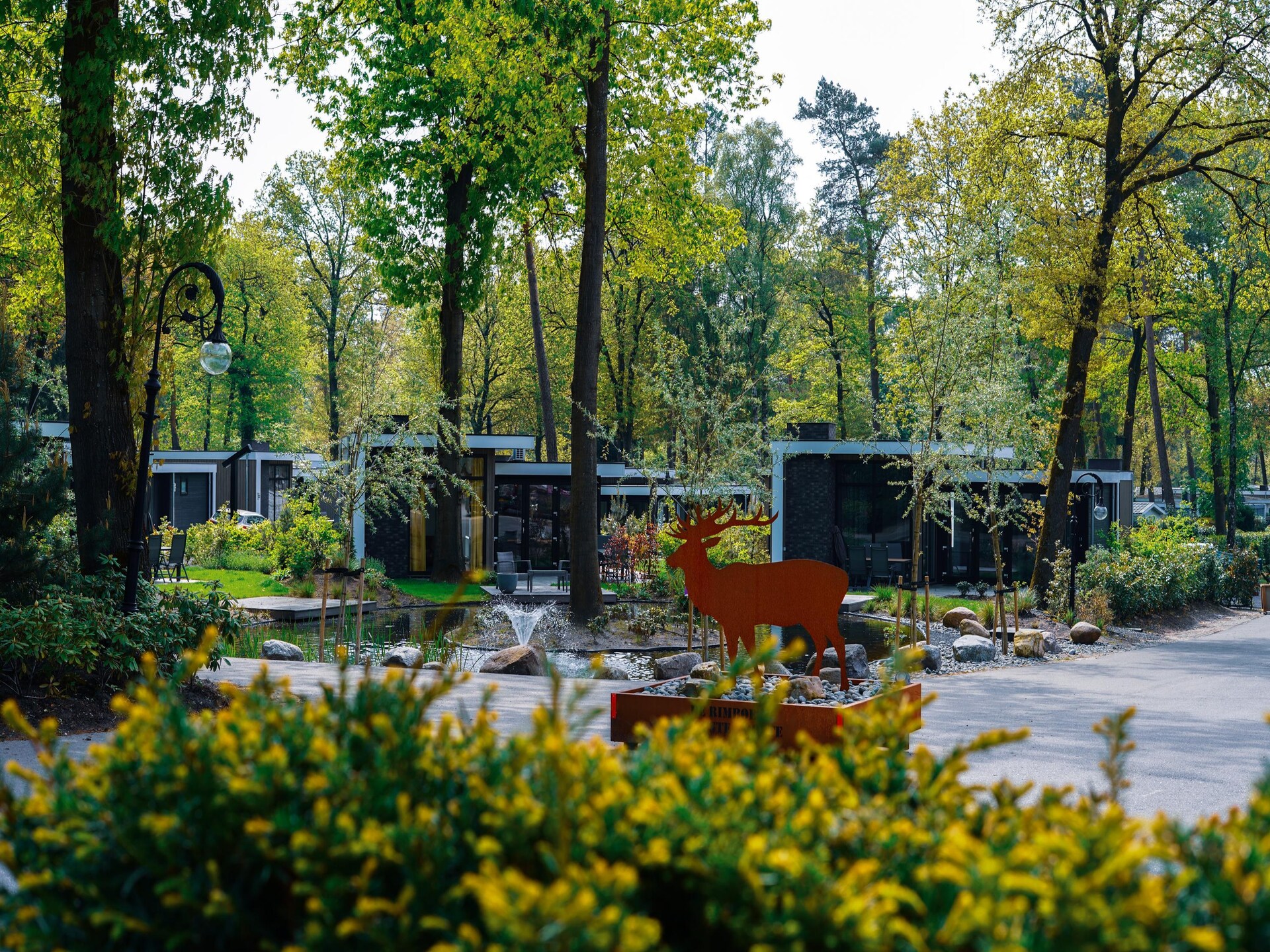 Luxe vakantiehuis voor 10 personen met sauna op park De Woeste Hoogte - foto 15