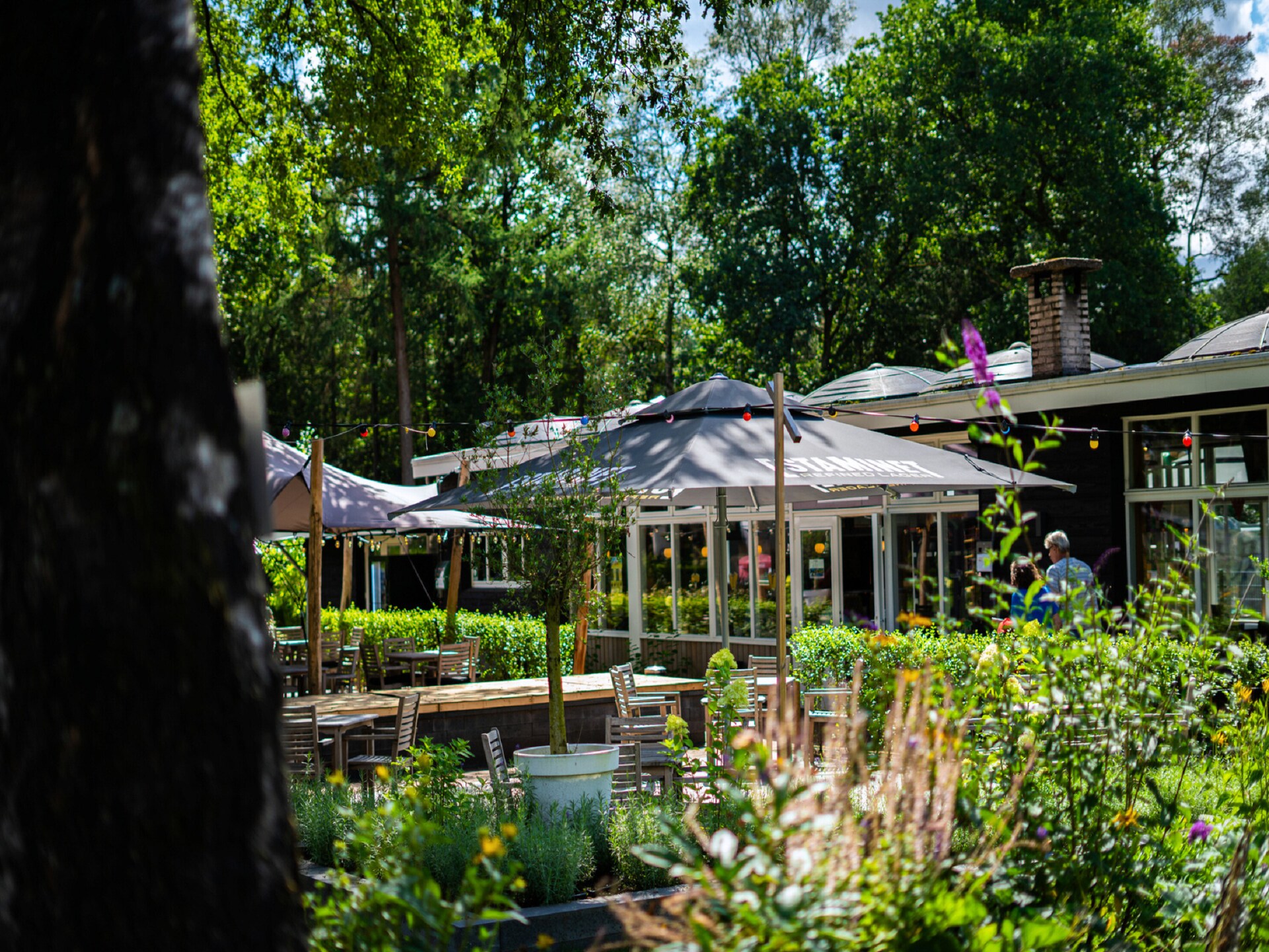 Luxe vakantiehuis voor 10 personen met sauna op park De Woeste Hoogte - foto 16