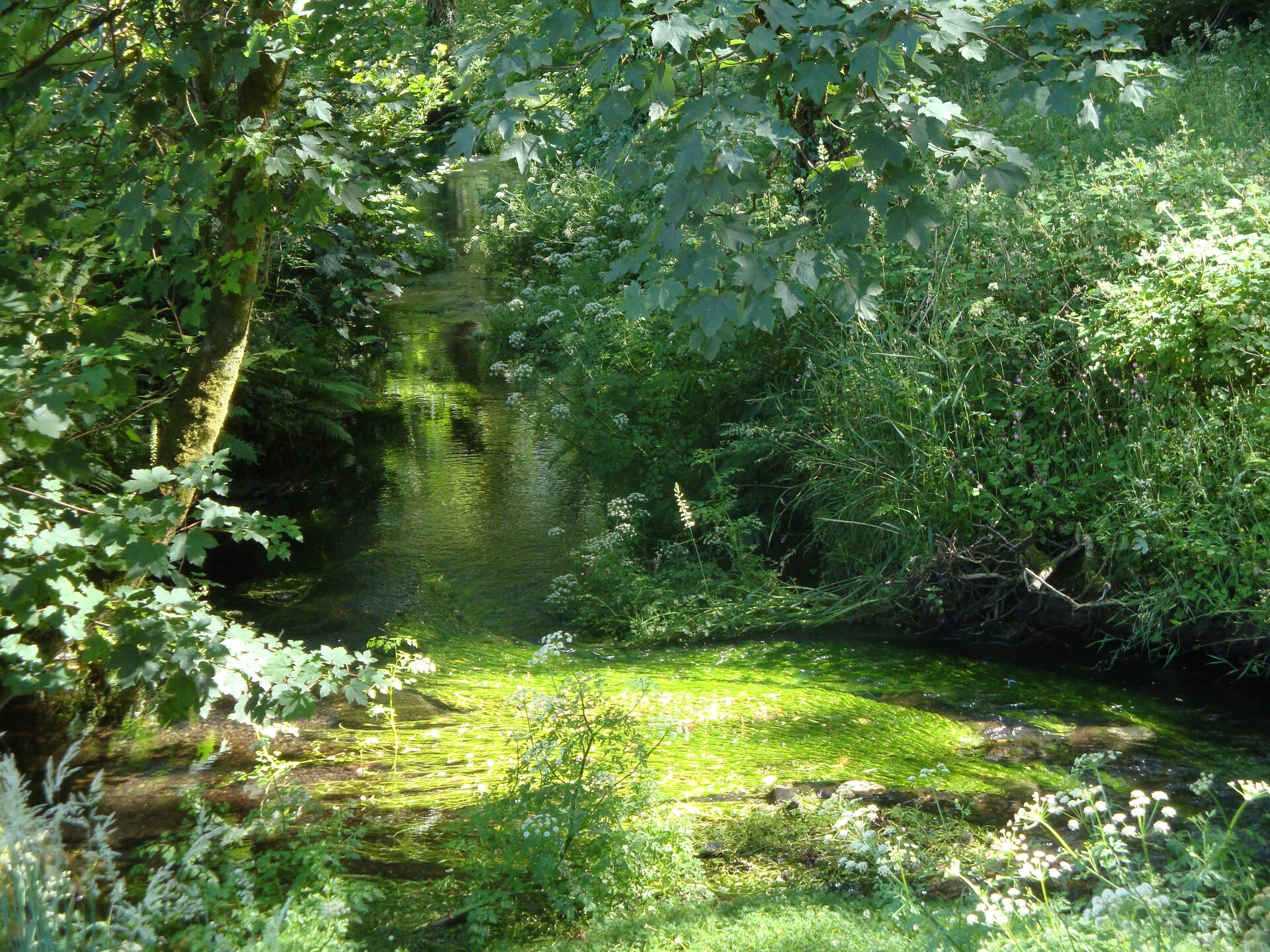 Rustiek vakantiehuis Lena aan de golfbaan in Dartmoor, Devon - foto 15