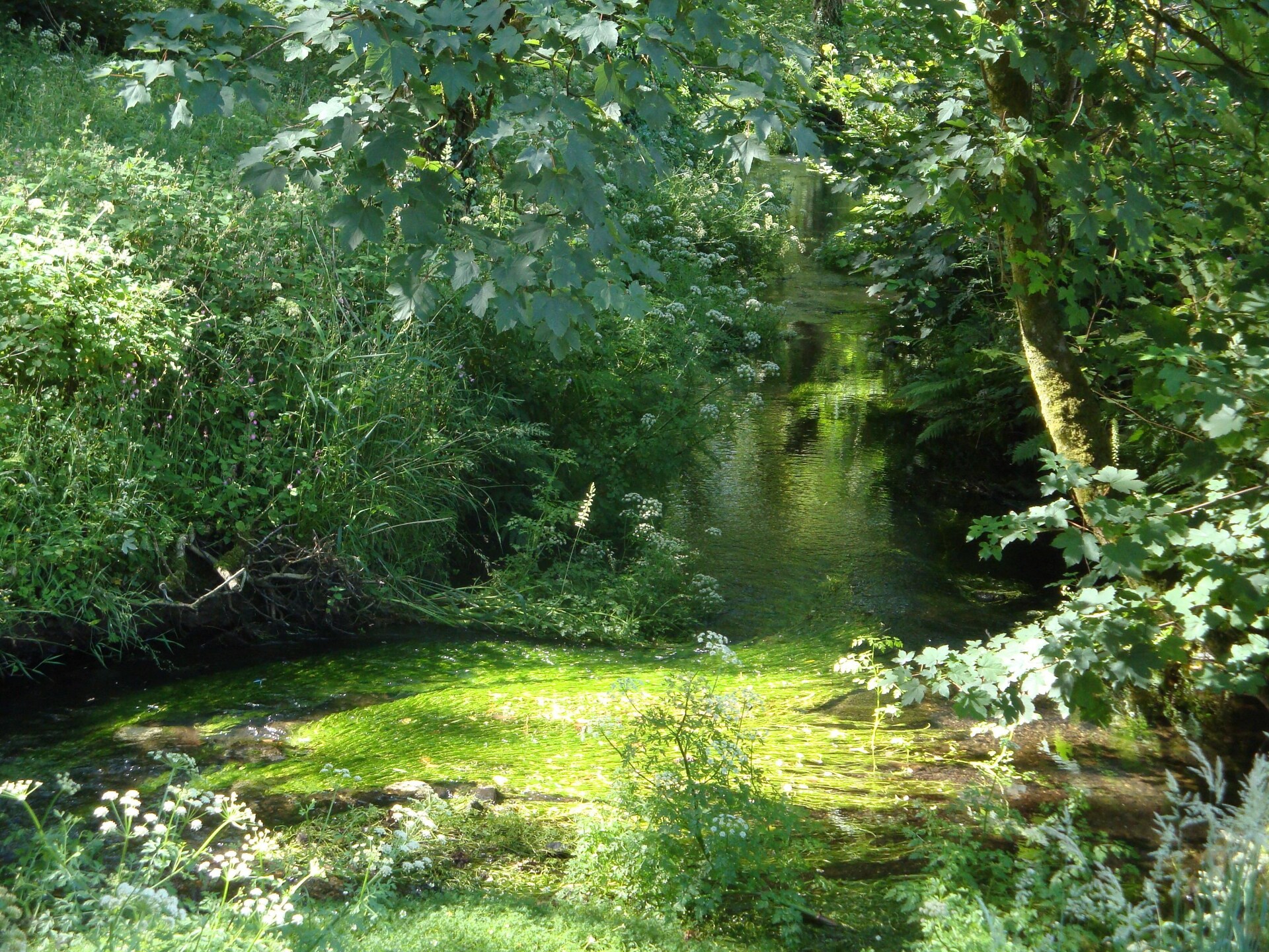 Rustiek vakantiehuis Lena aan de golfbaan in Dartmoor, Devon - foto 32