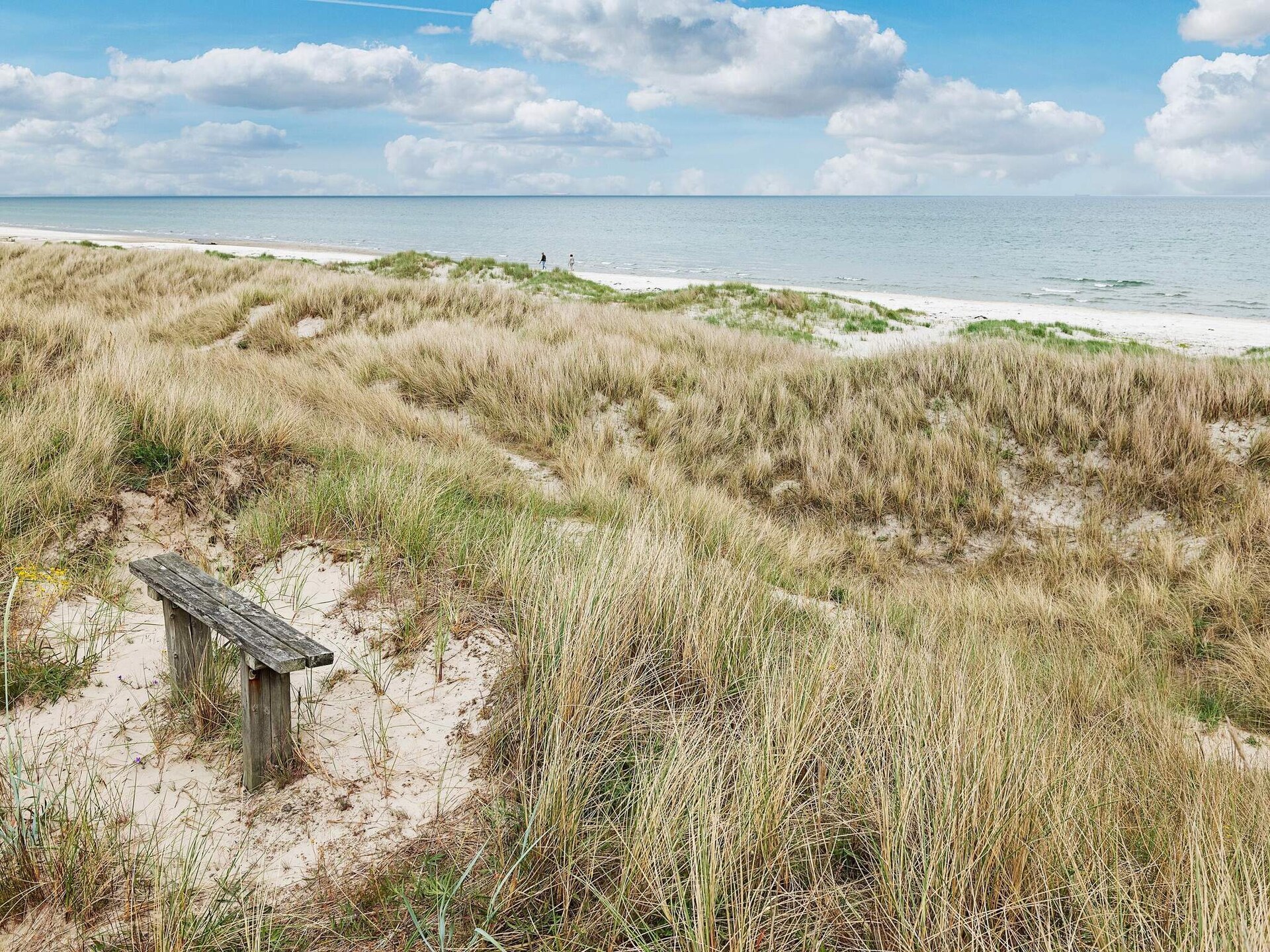 Architectonisch vakantiehuis met zeezicht en sauna op 50m van het strand - foto 7