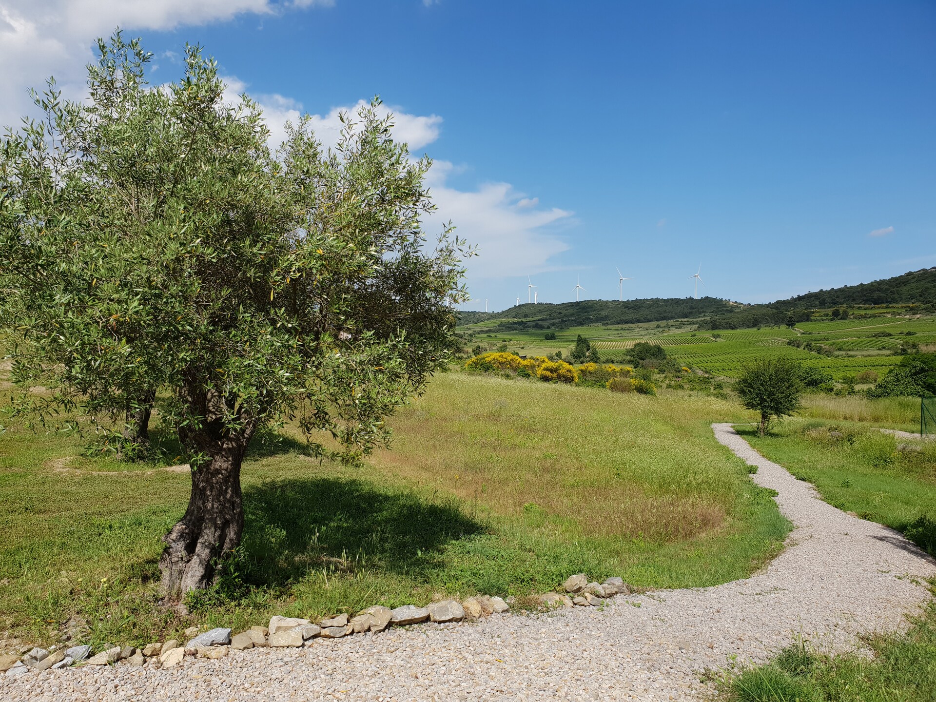 10-persoons villa met privézwembad in Montbrun-des-Corbières - foto 32