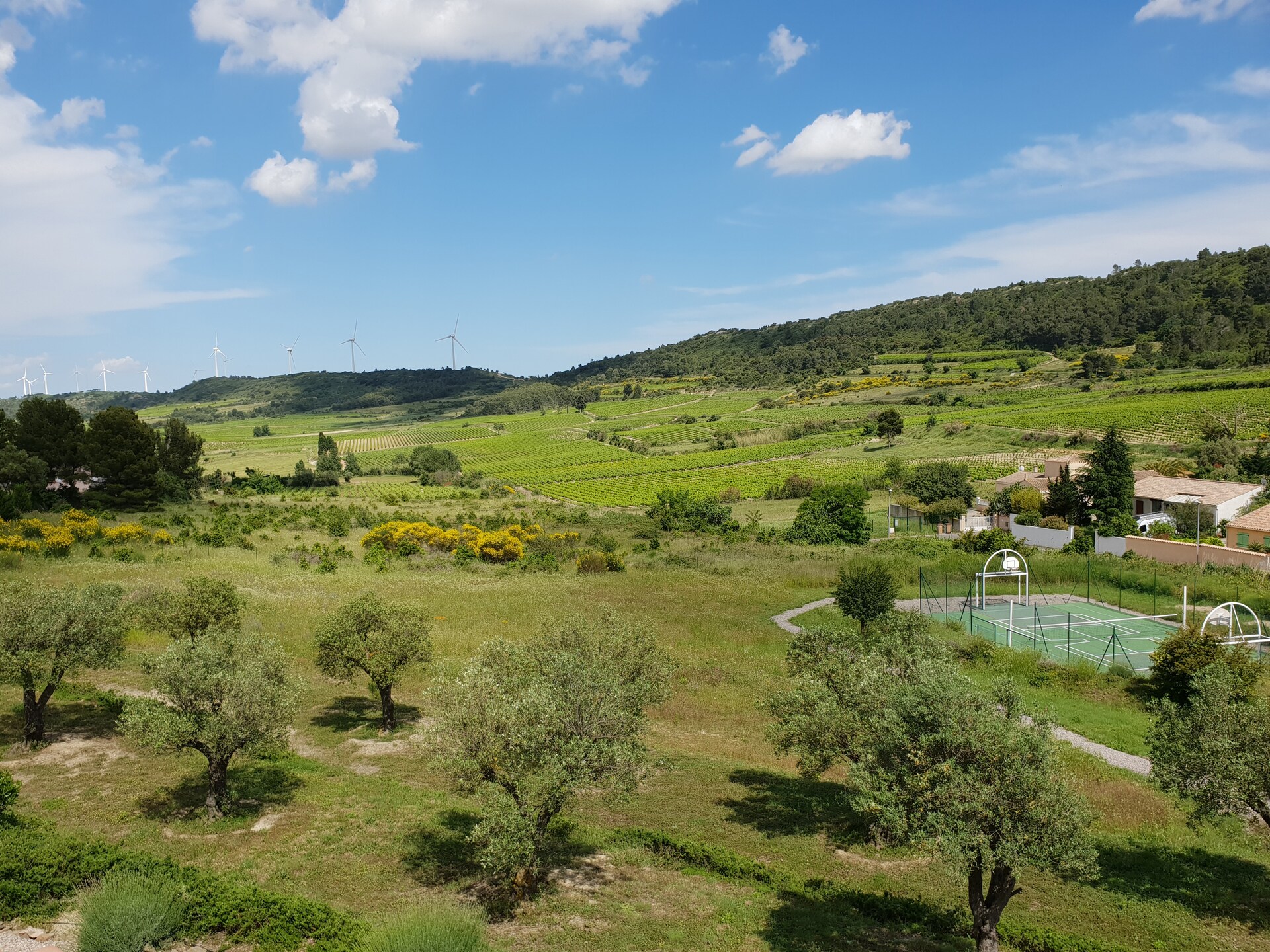 10-persoons villa met privézwembad in Montbrun-des-Corbières - foto 33