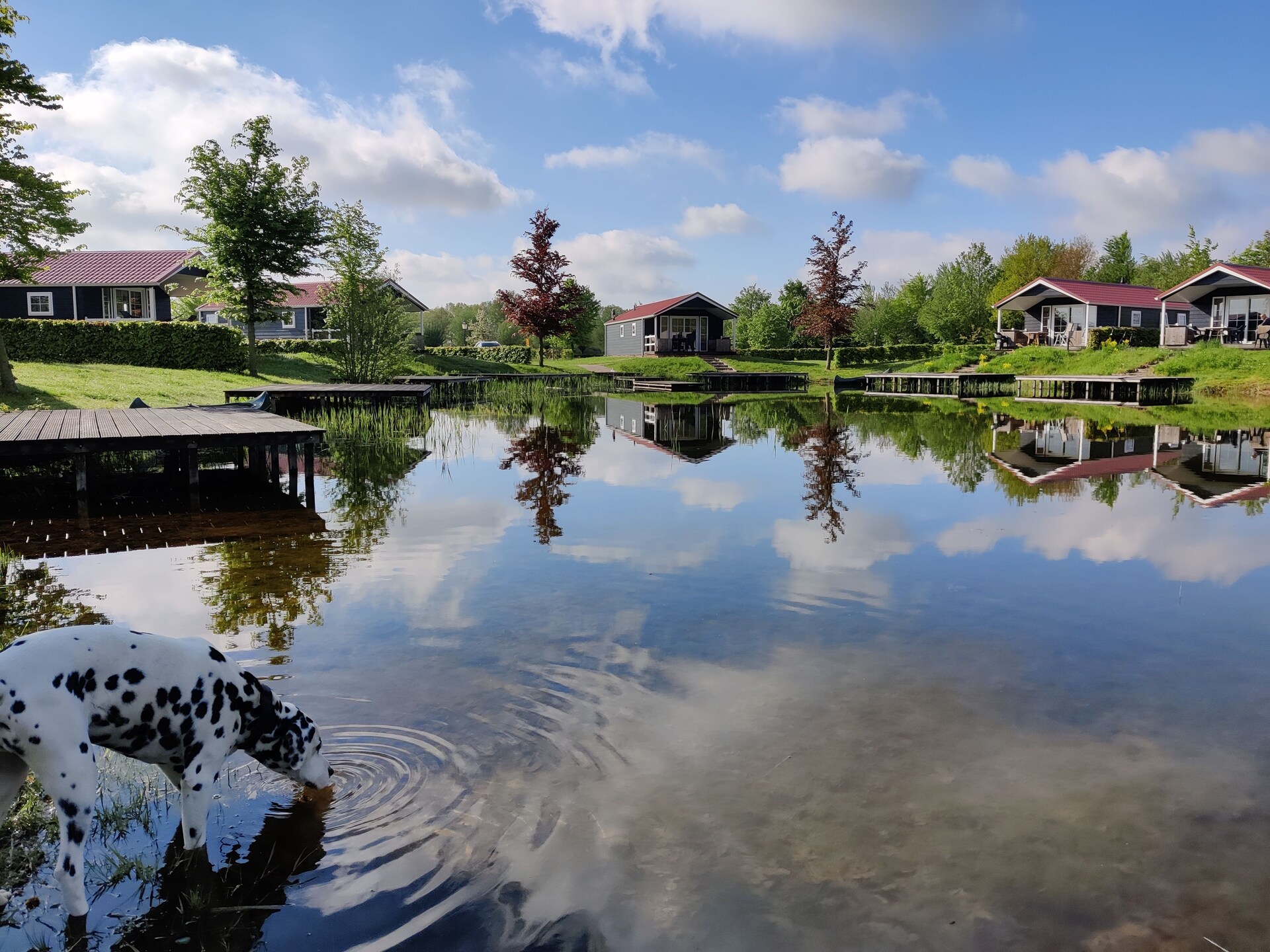 Knus waterchalet met privéveranda en aanlegsteiger in Bant, Flevoland - foto 26