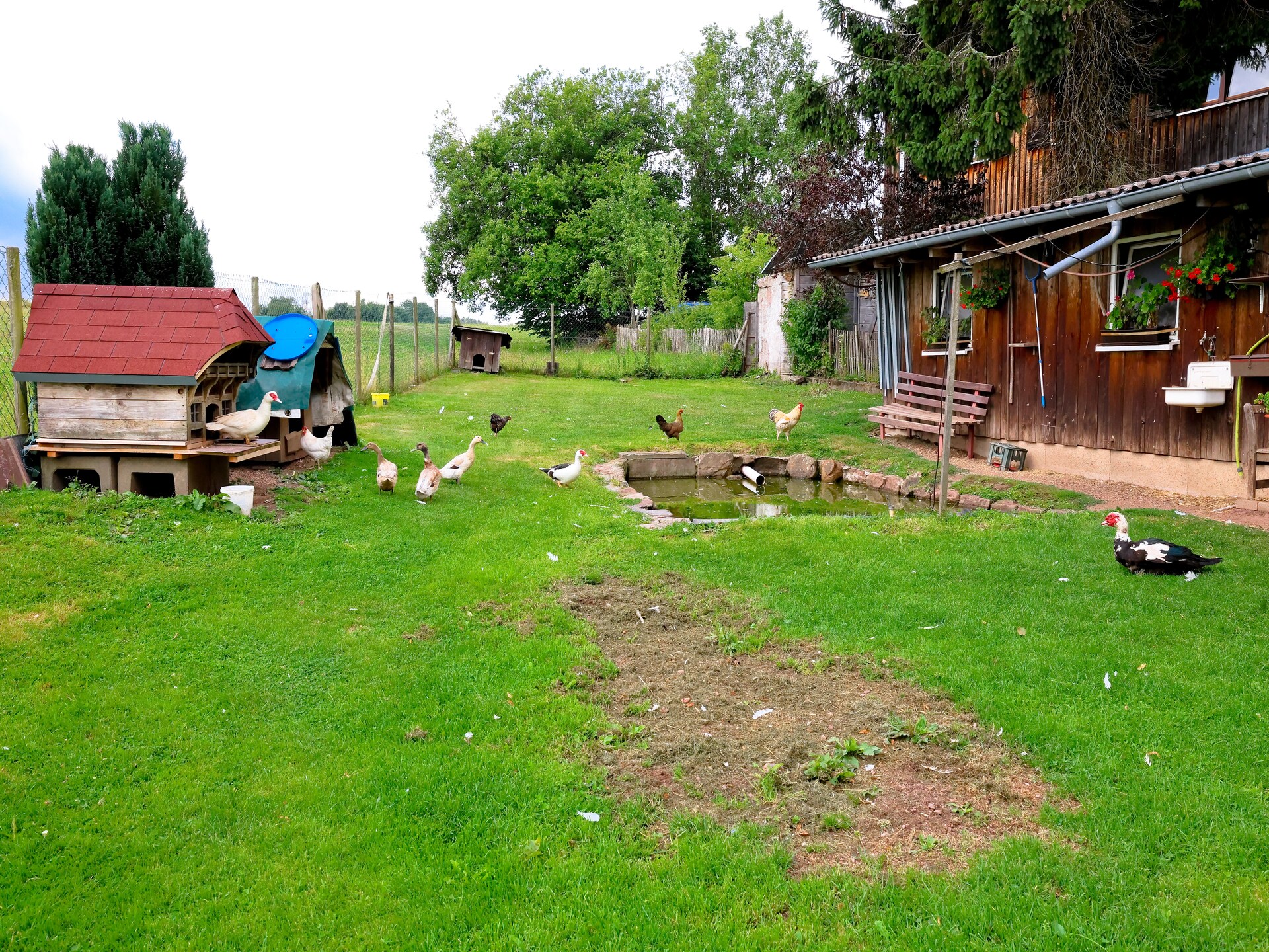 Knus appartement voor 2 in het Zwarte Woud, direct aan bos en bergen - foto 28